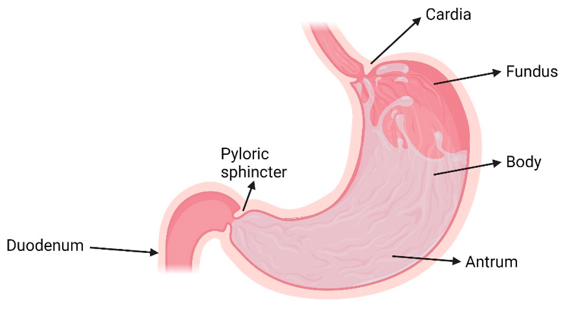 Pharmaceutics 13 01591 g001
