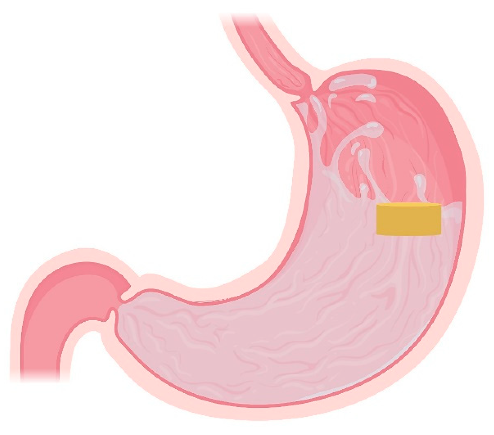 Pharmaceutics 13 01591 g002