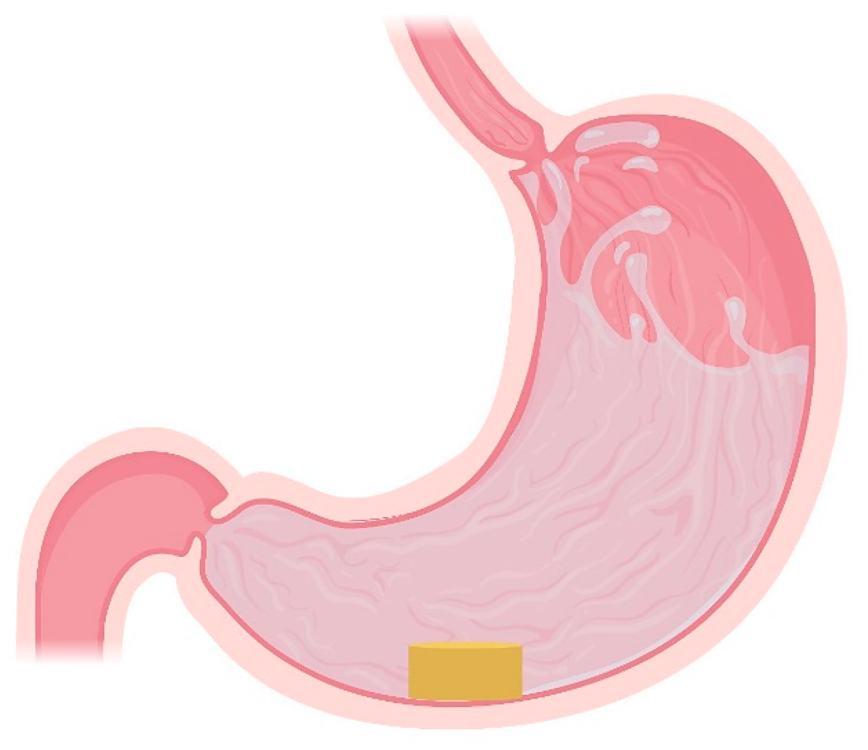 Pharmaceutics 13 01591 g005