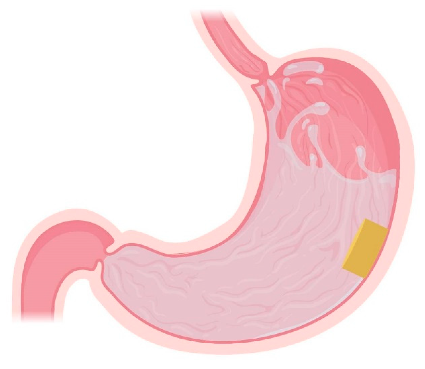 Pharmaceutics 13 01591 g006