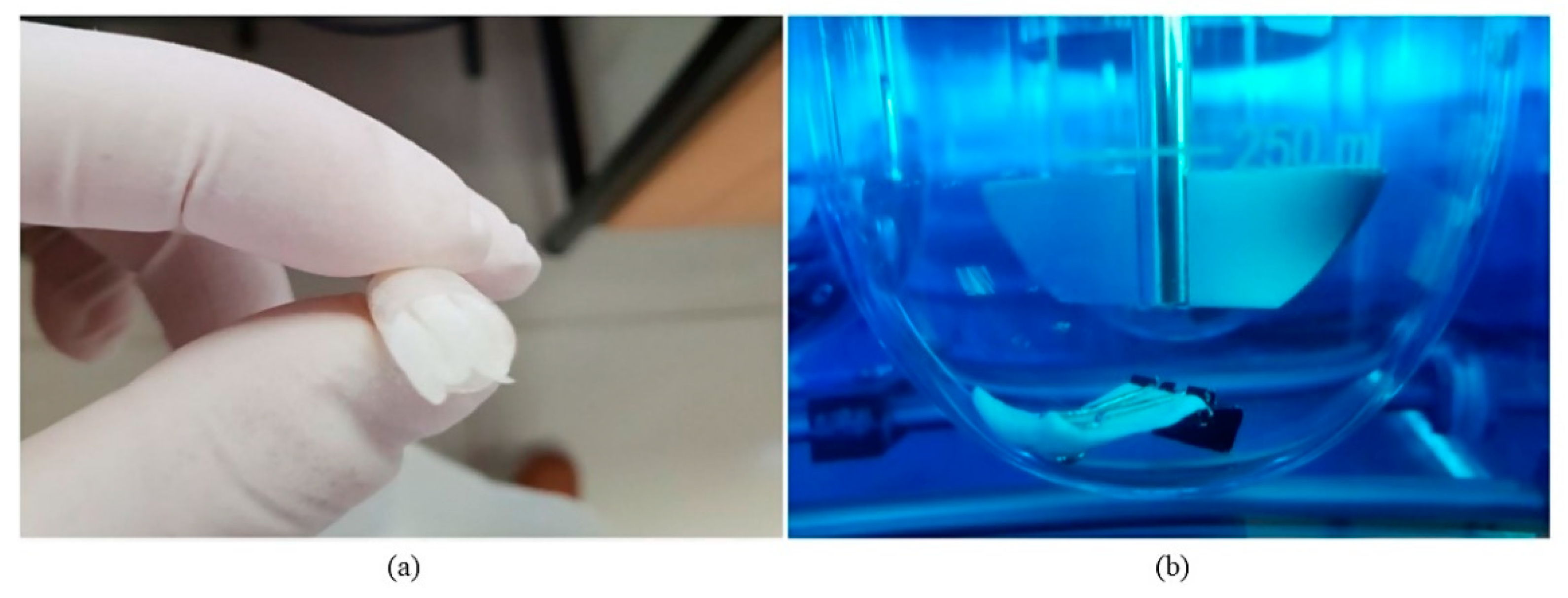 Pharmaceutics 13 01591 g007