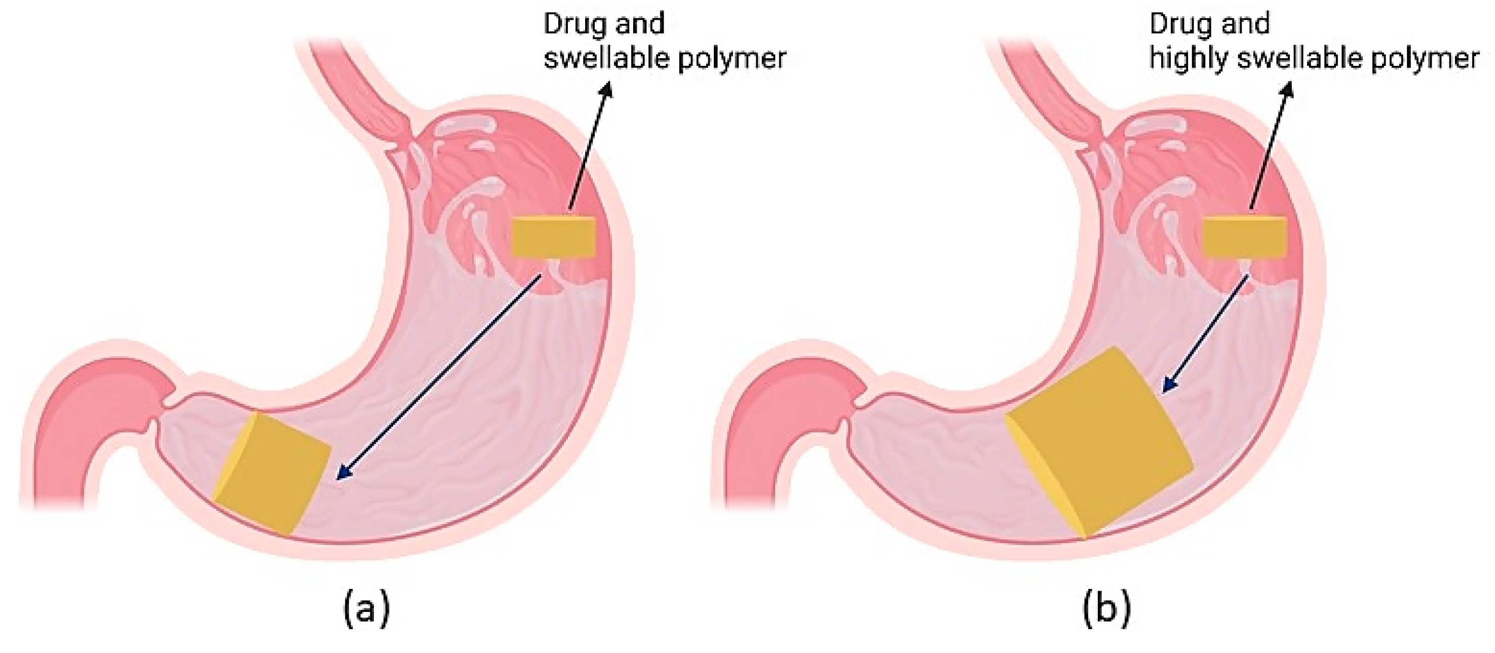 Pharmaceutics 13 01591 g009