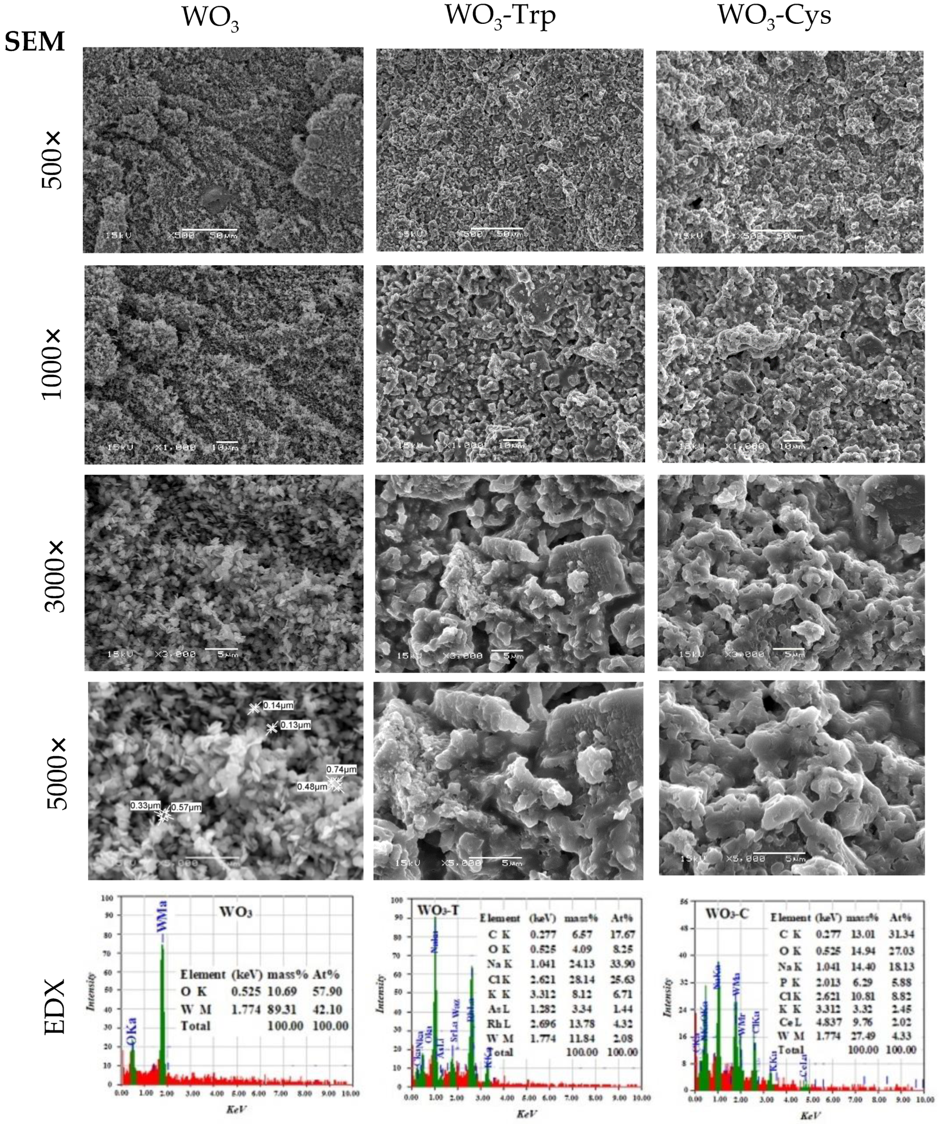 Pharmaceutics 13 01595 g002
