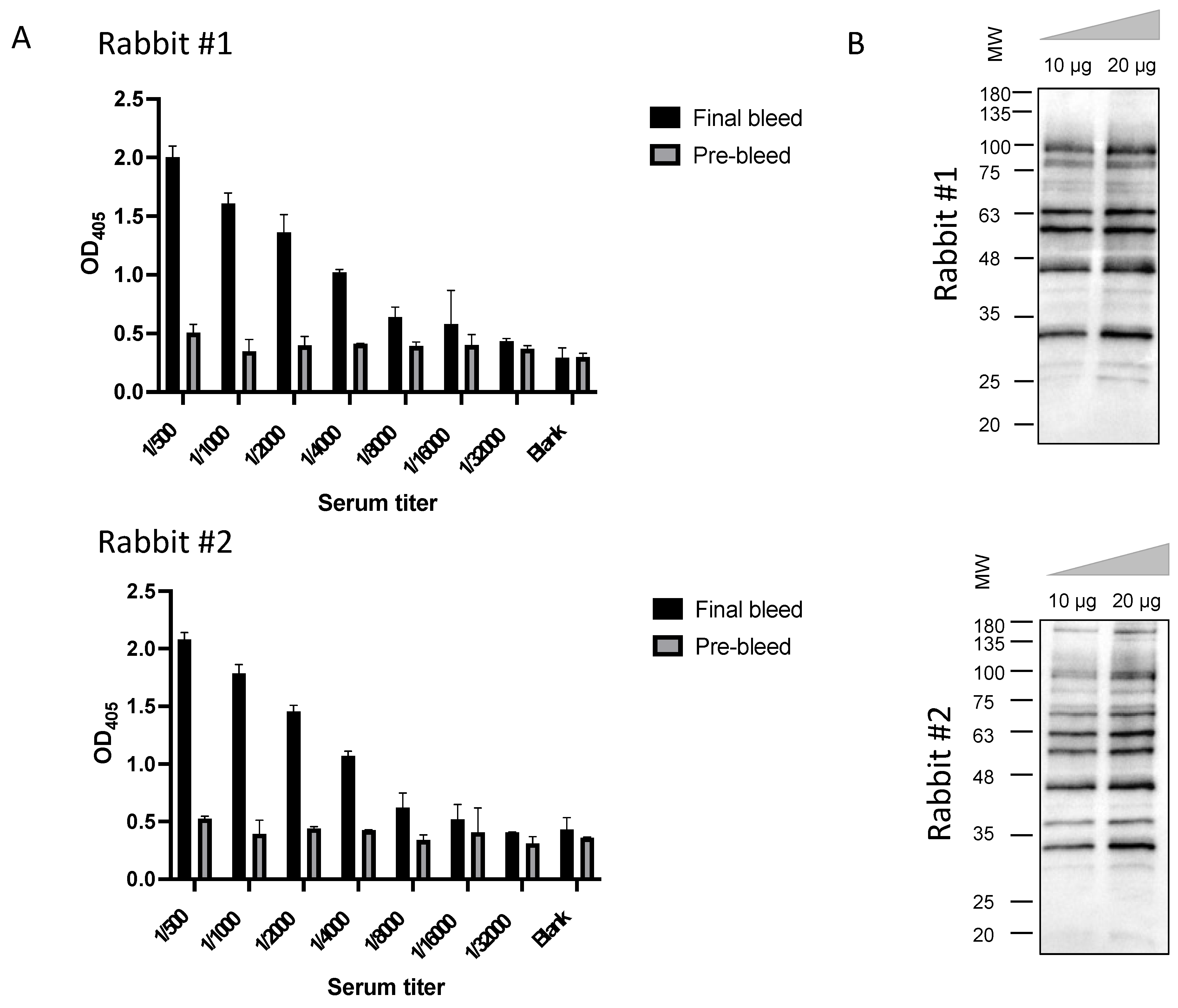 Pharmaceutics 13 01598 g002