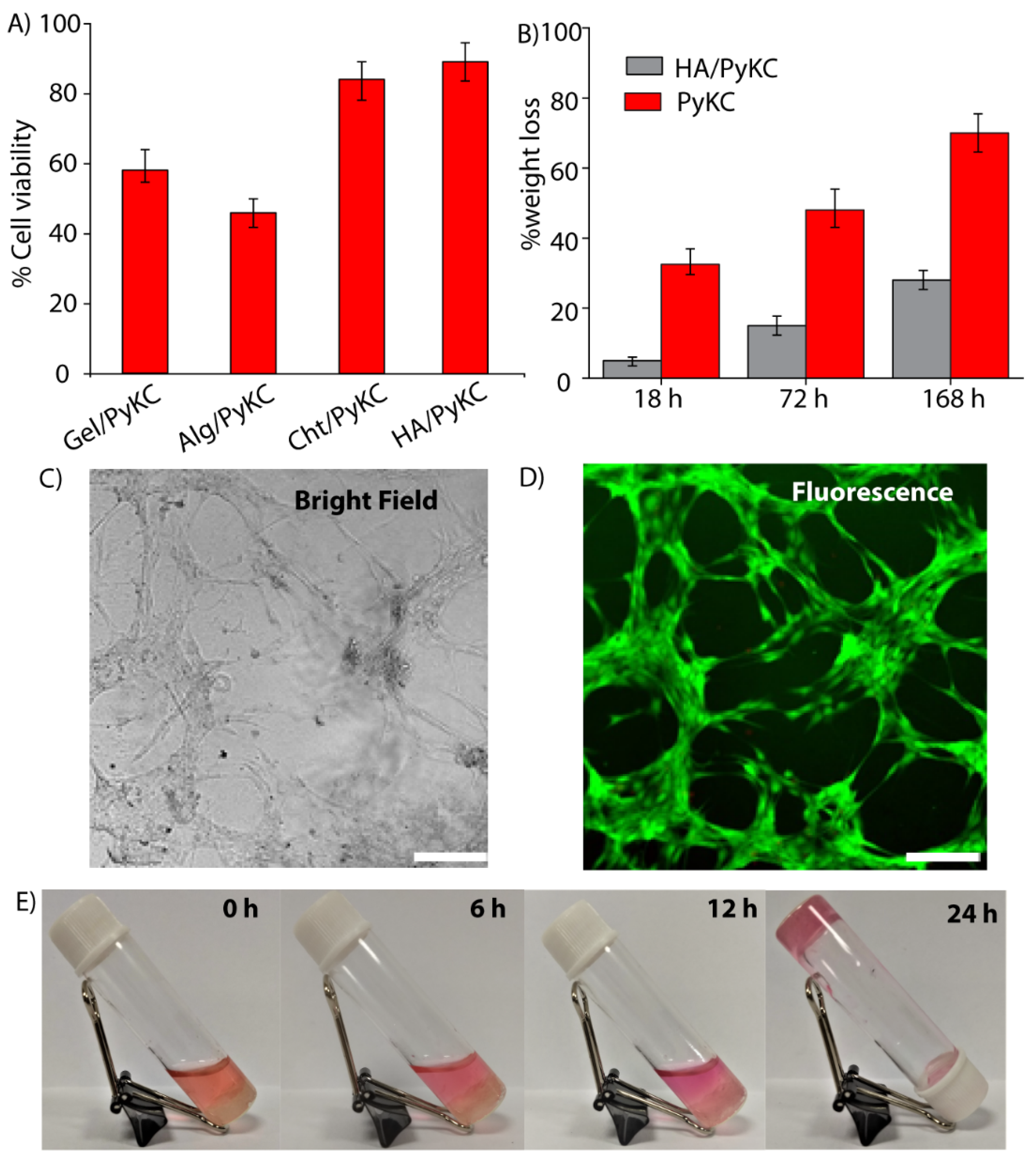Pharmaceutics 13 01602 g005