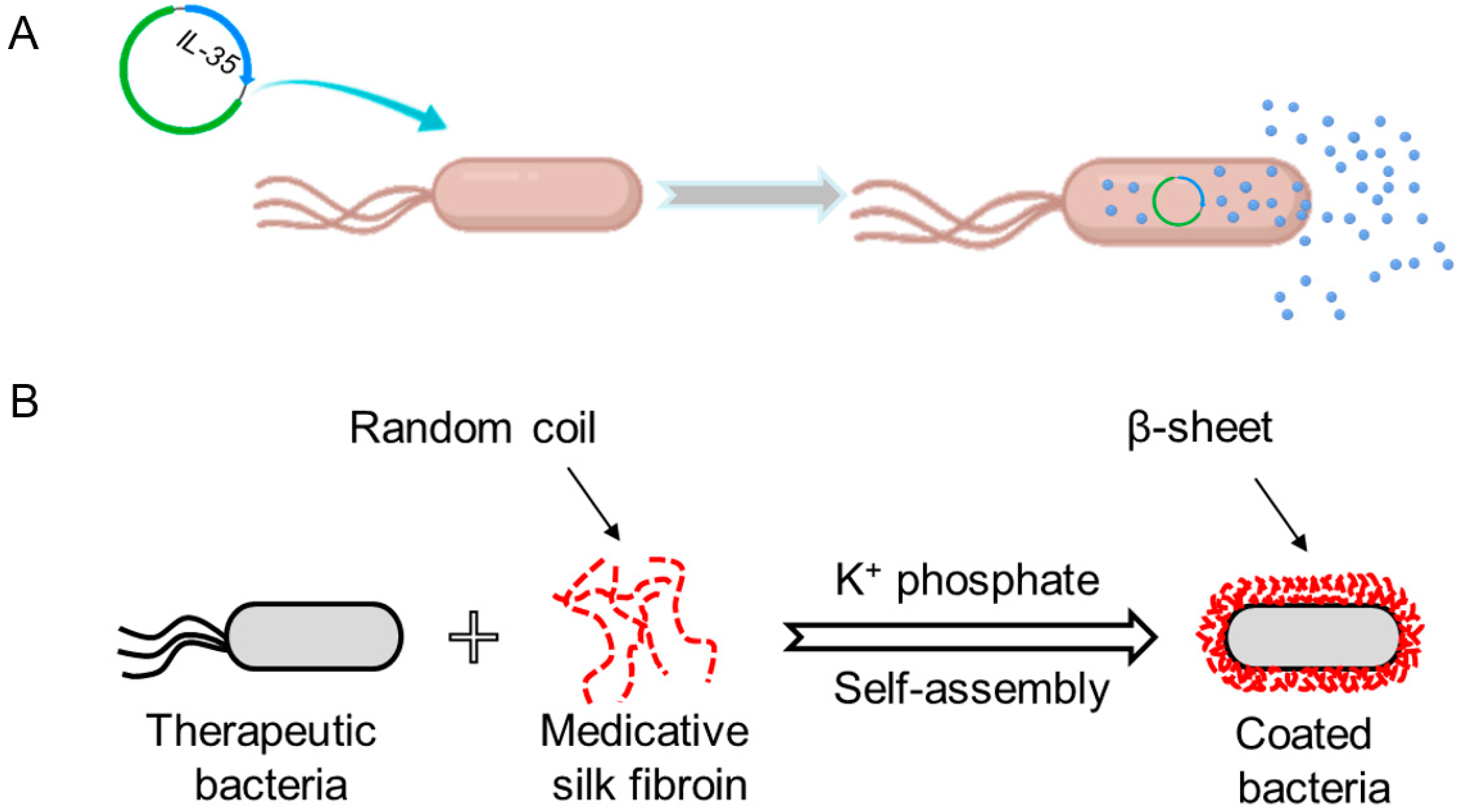 Pharmaceutics 13 01610 g002