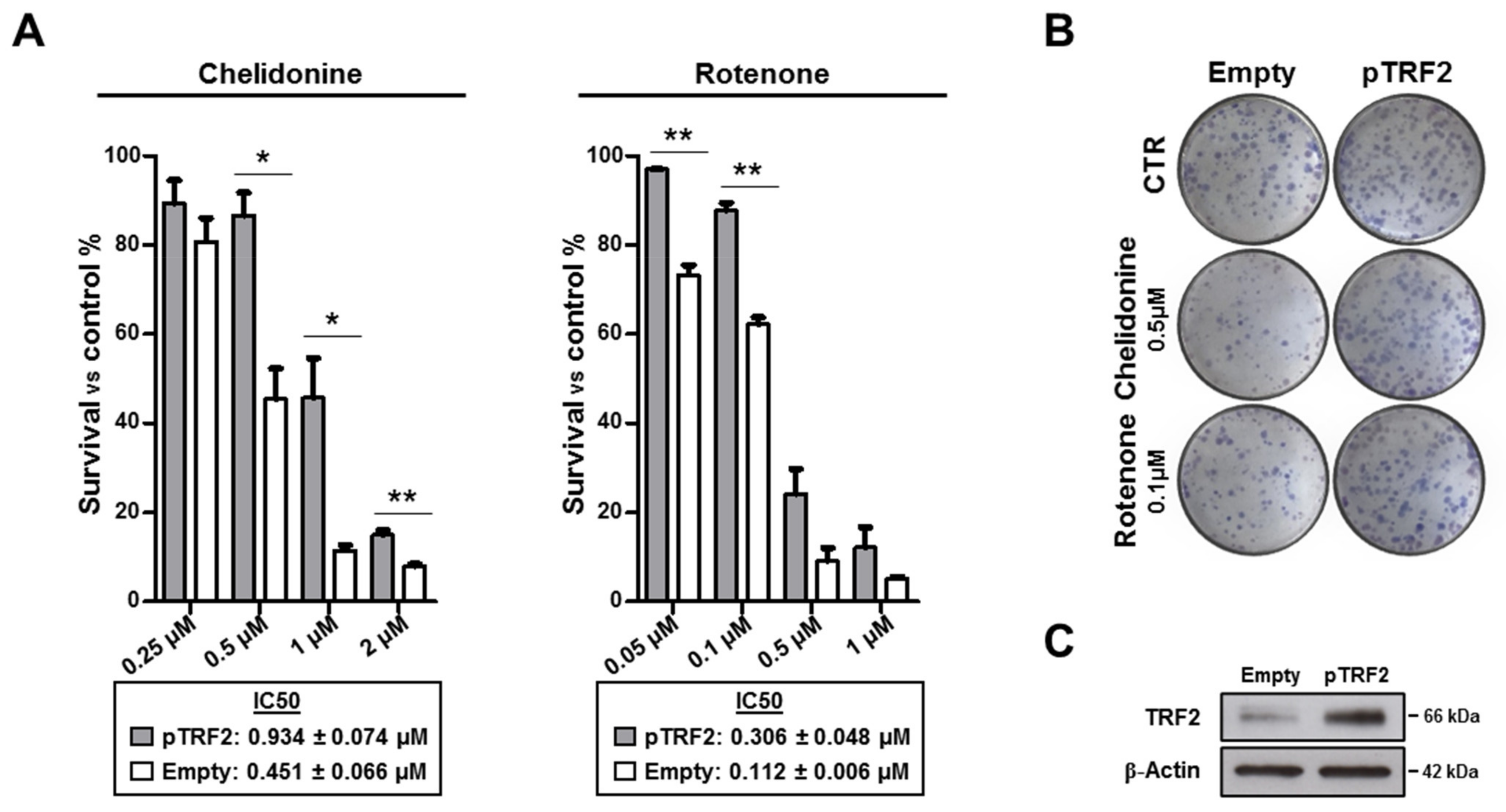 Pharmaceutics 13 01611 g008