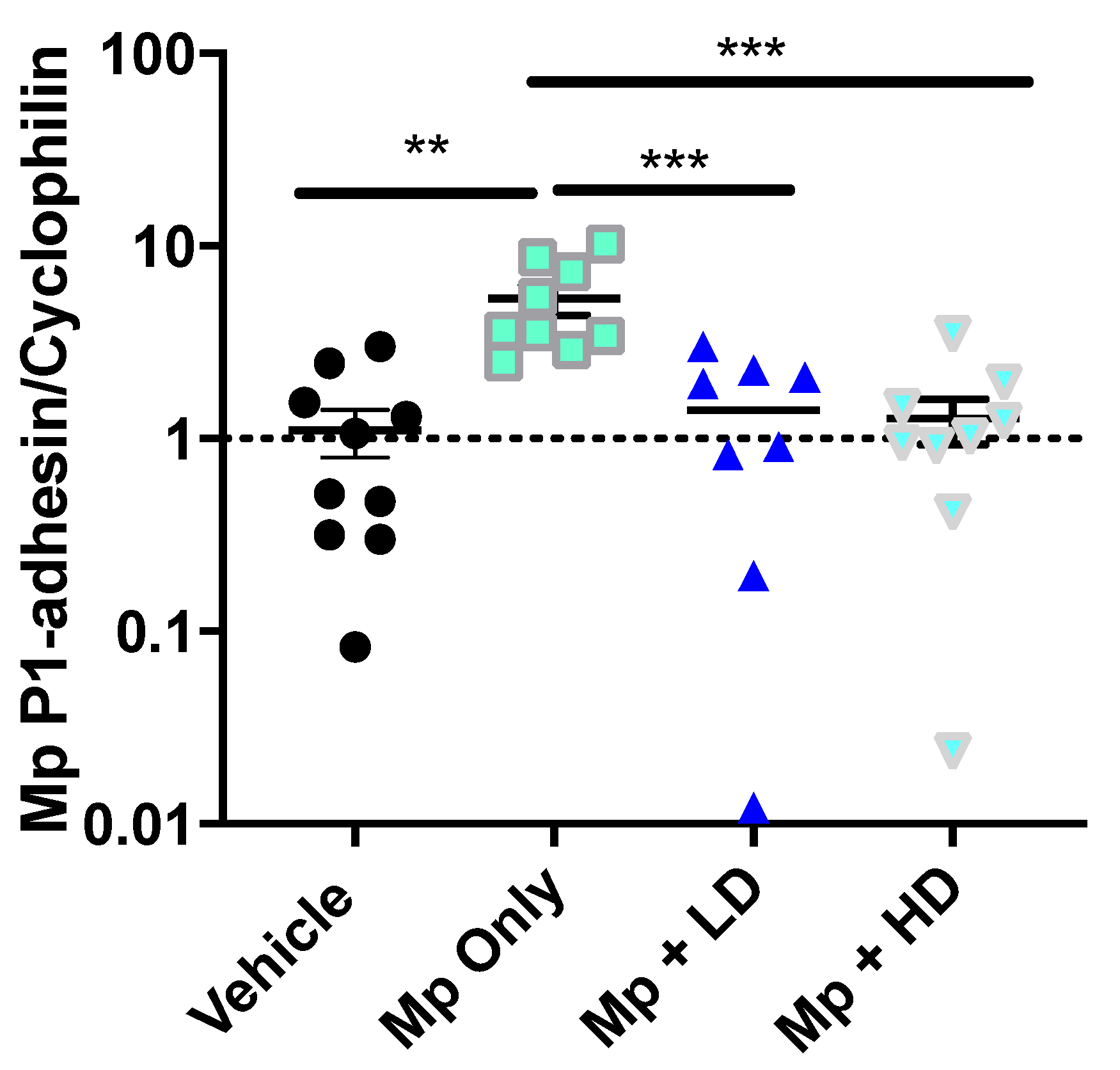 Pharmaceutics 13 01614 g002