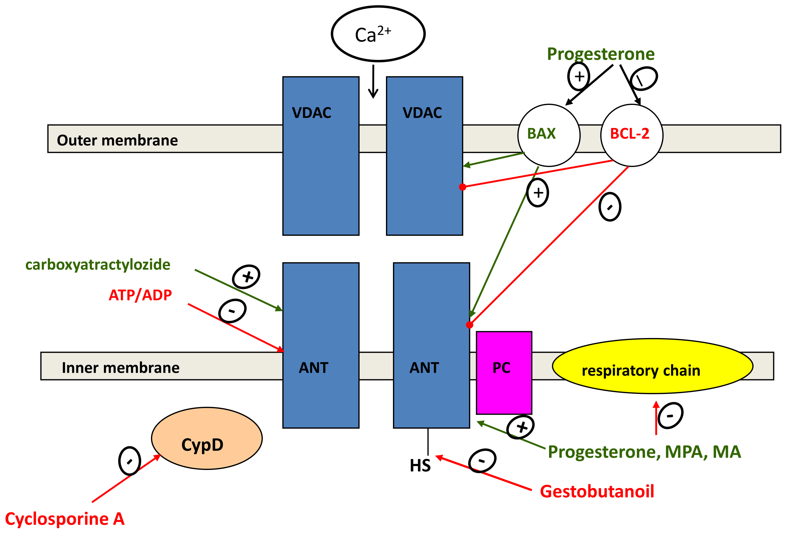 Pharmaceutics 13 01616 g002 Pharmaceutics 13 01616 g002