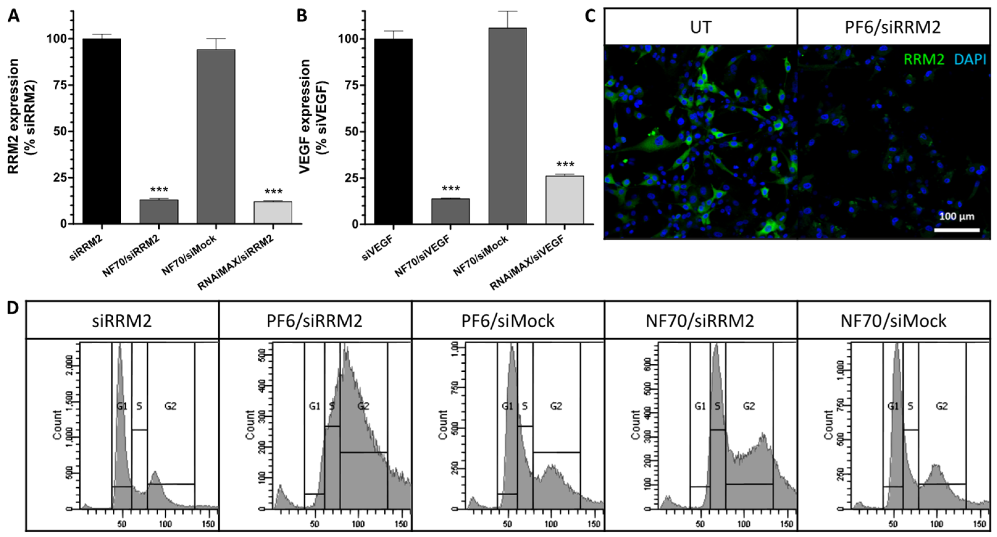 Pharmaceutics 13 01618 g001