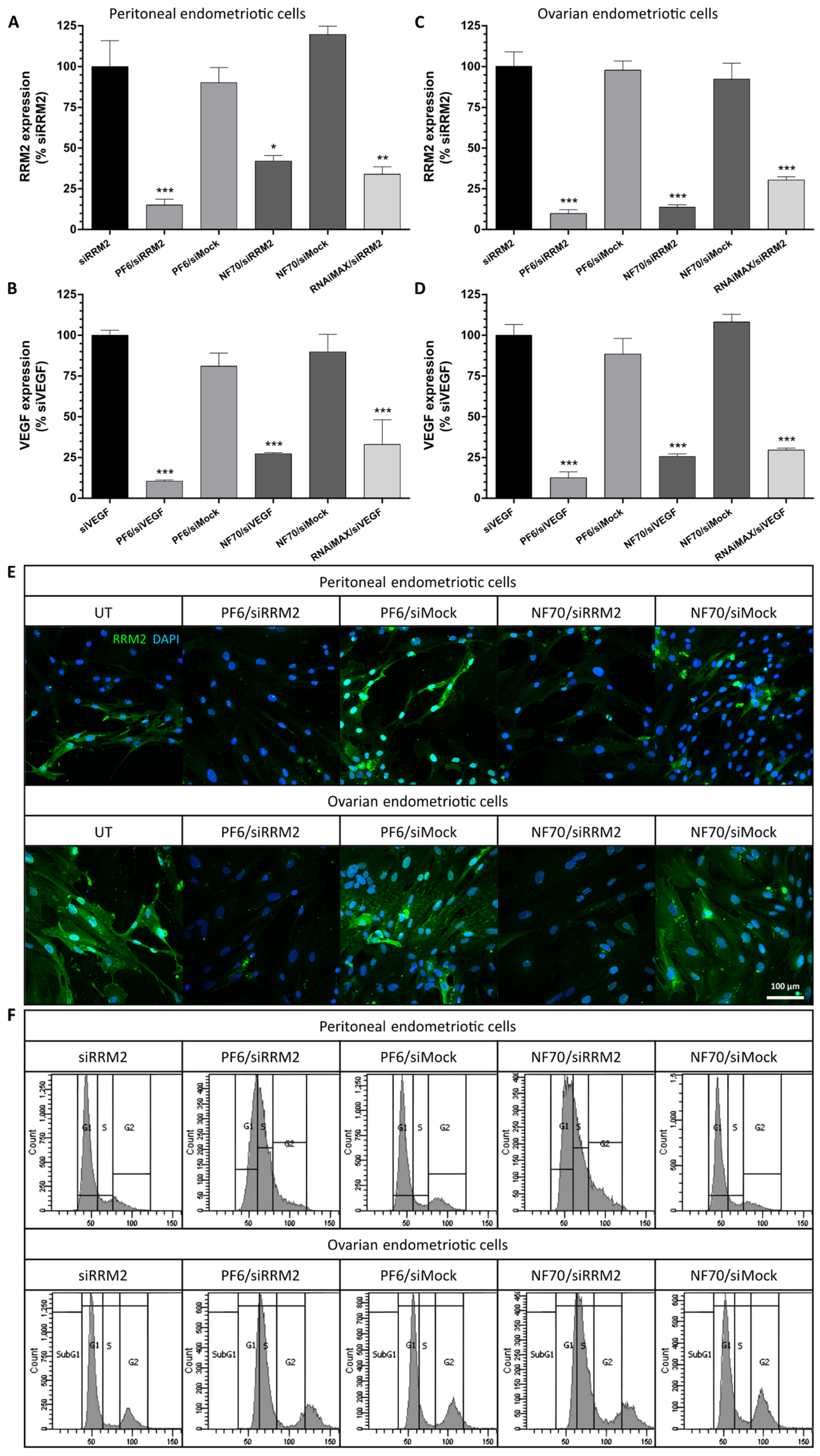 Pharmaceutics 13 01618 g002
