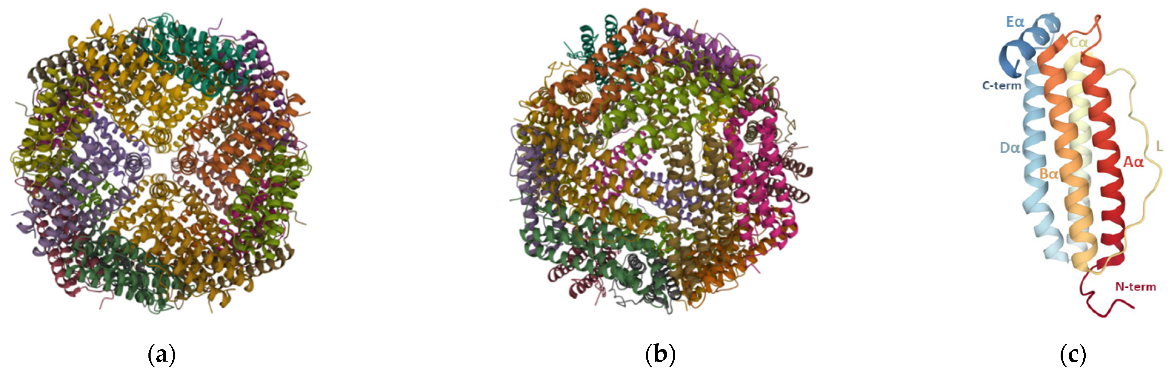 Pharmaceutics 13 01621 g002