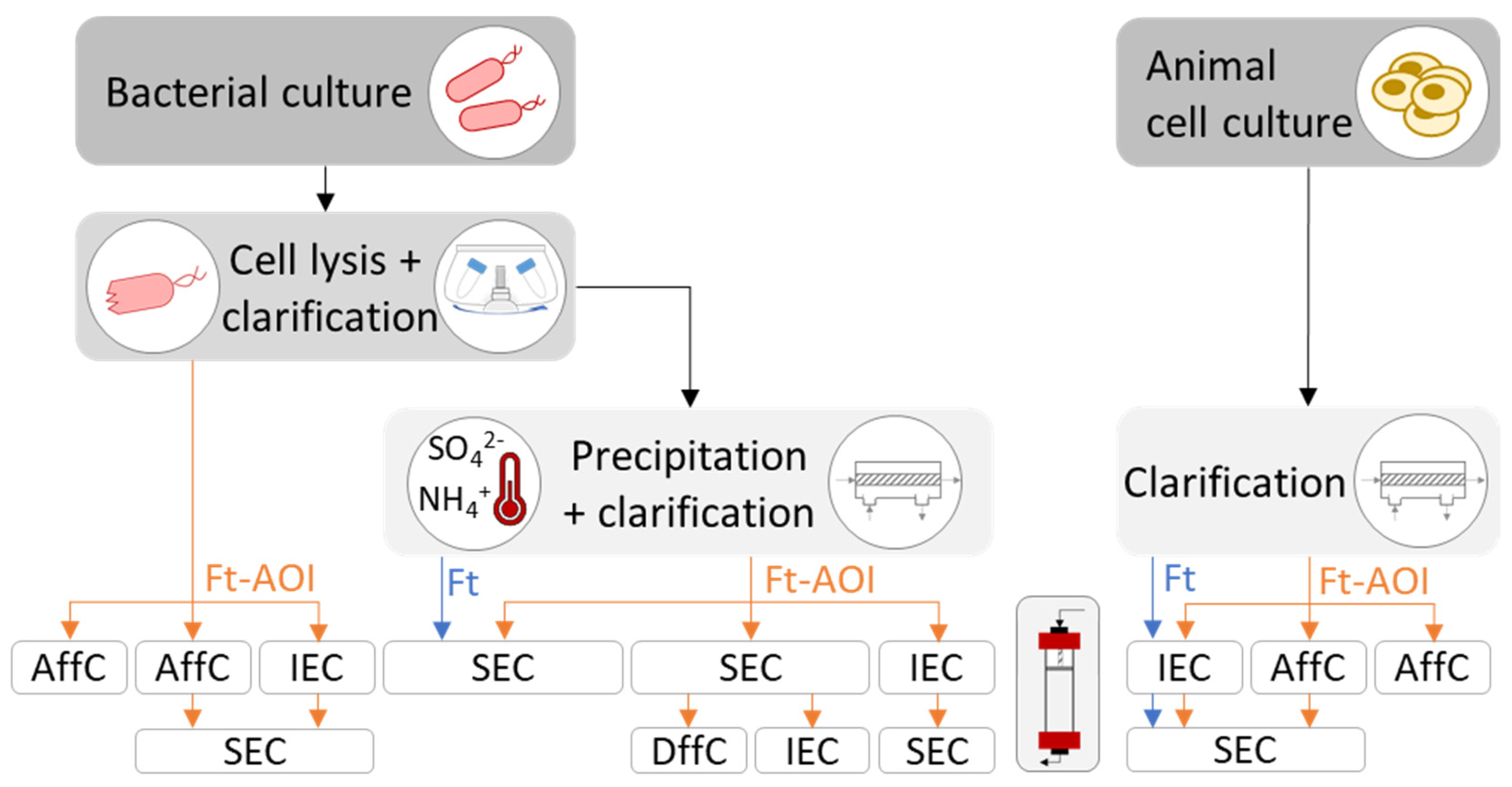 Pharmaceutics 13 01621 g004