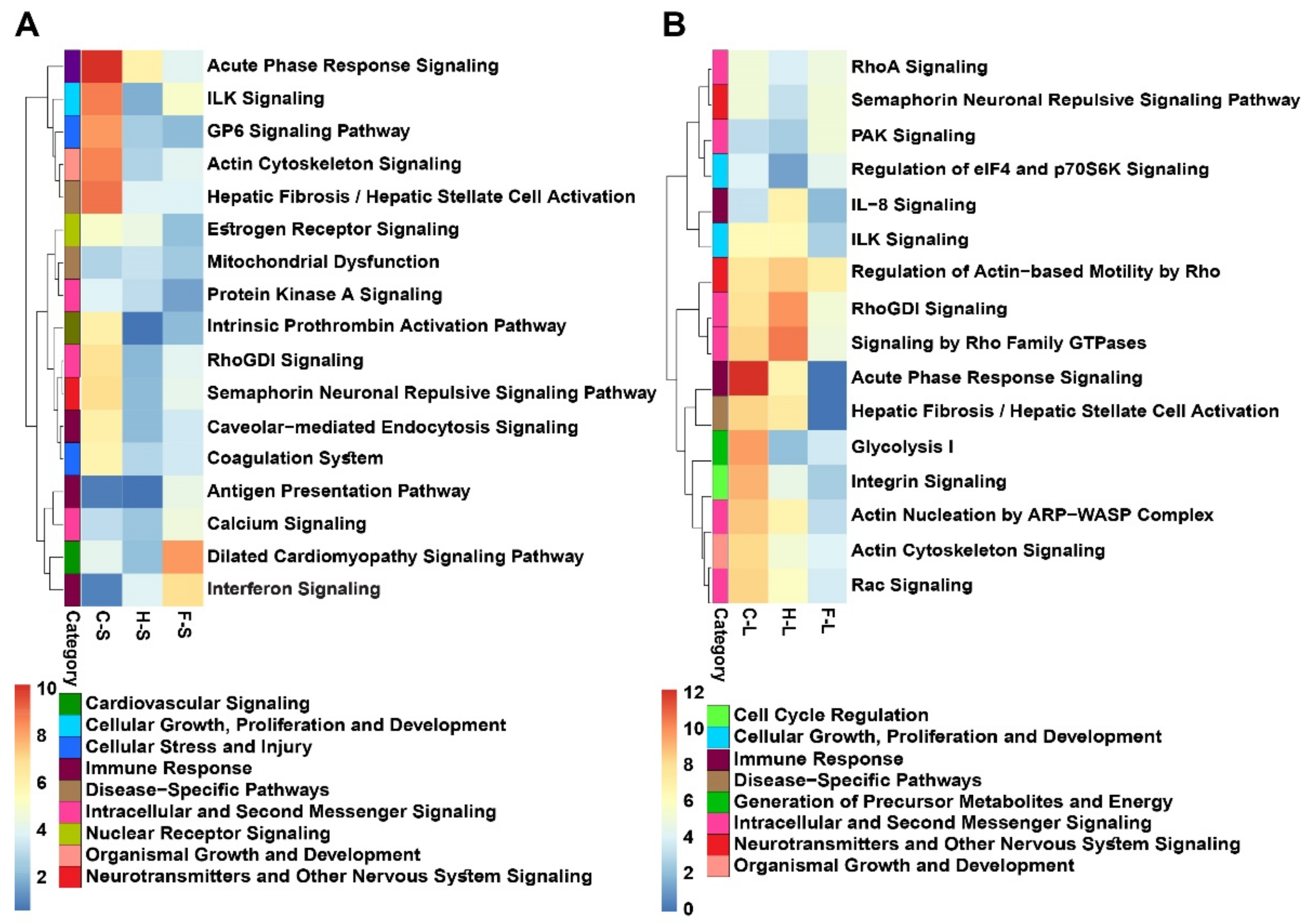 Pharmaceutics 13 01625 g003