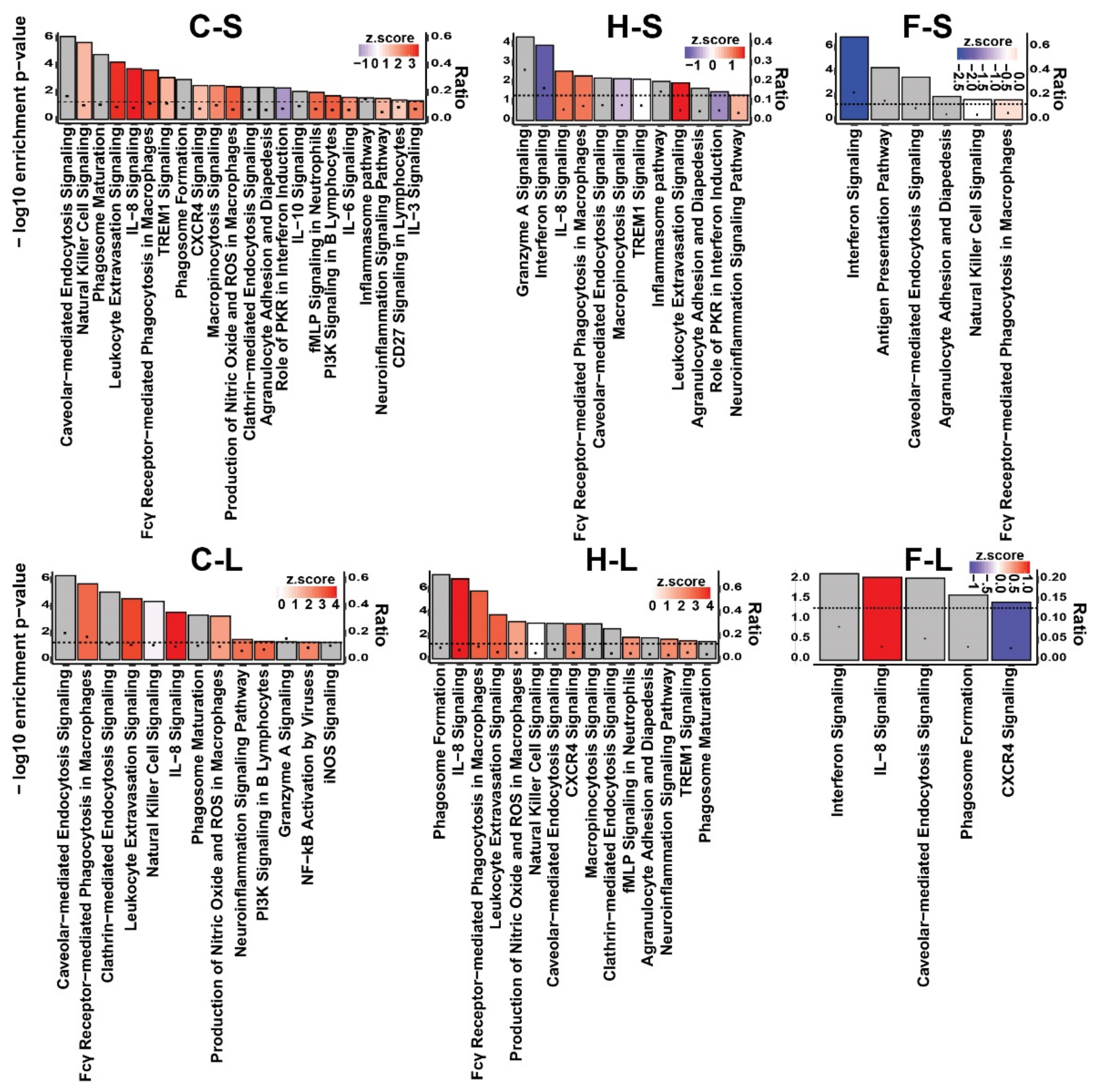 Pharmaceutics 13 01625 g006