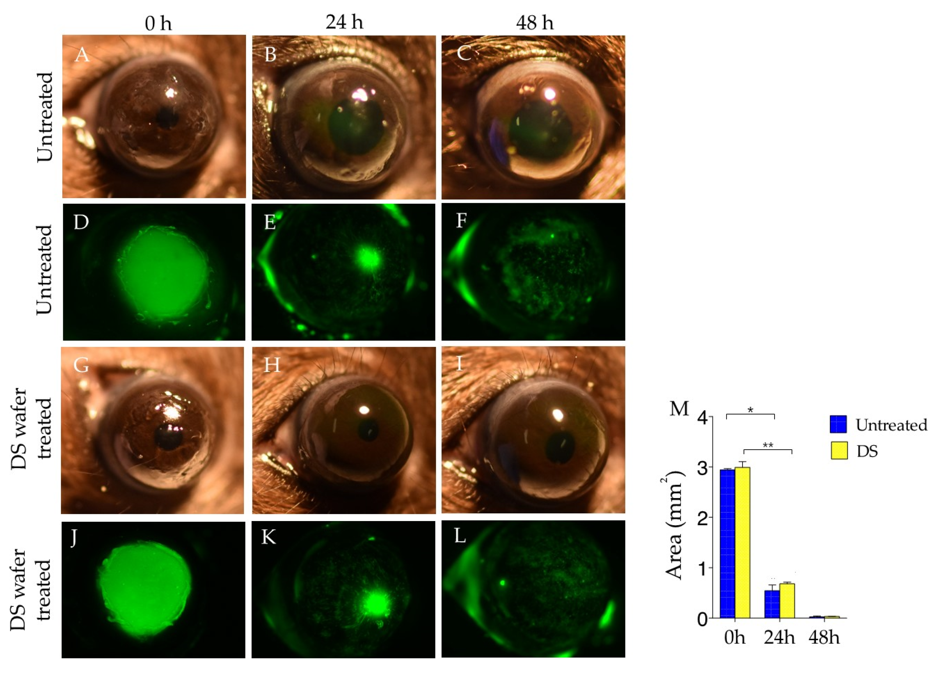 Pharmaceutics 13 01628 g005