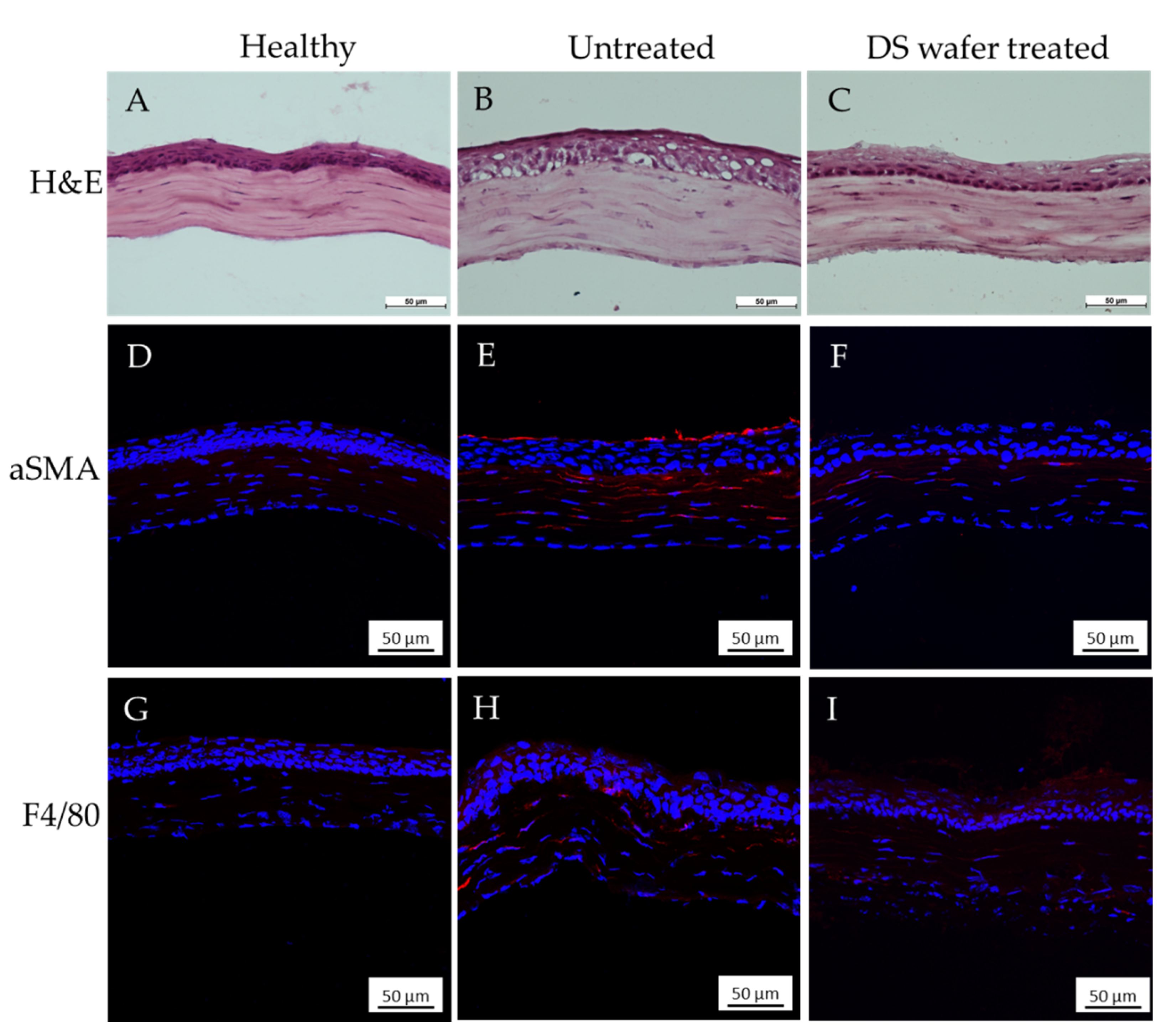 Pharmaceutics 13 01628 g006