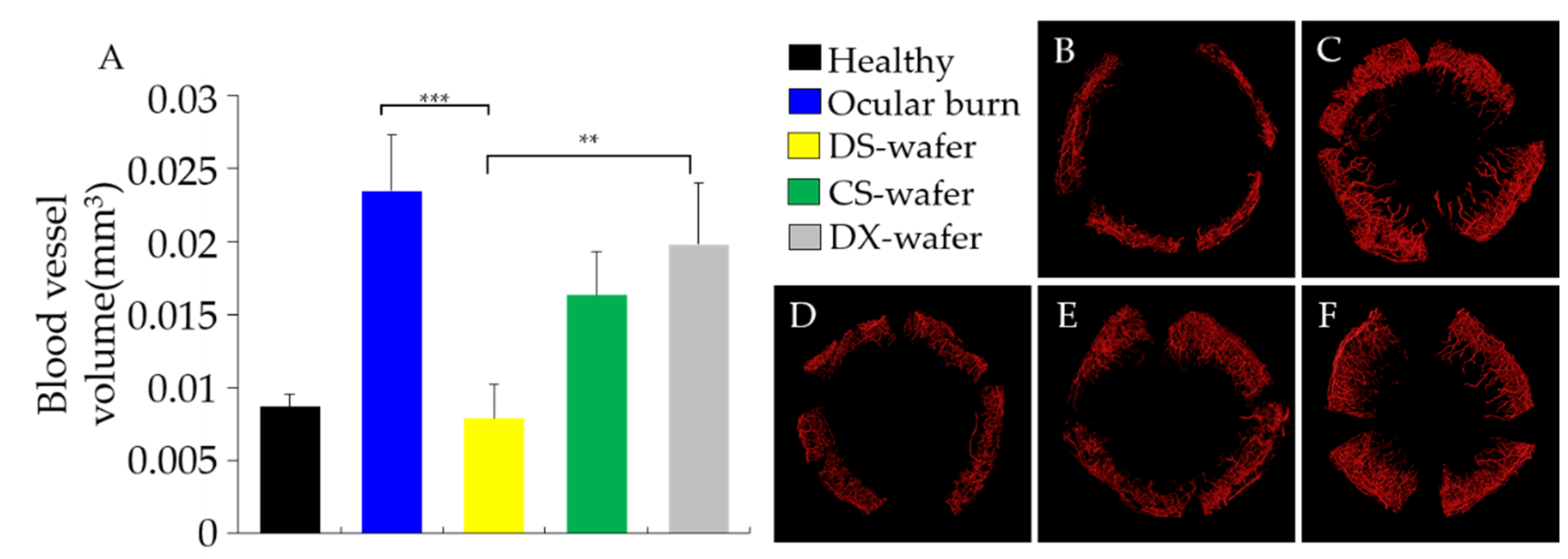 Pharmaceutics 13 01628 g009