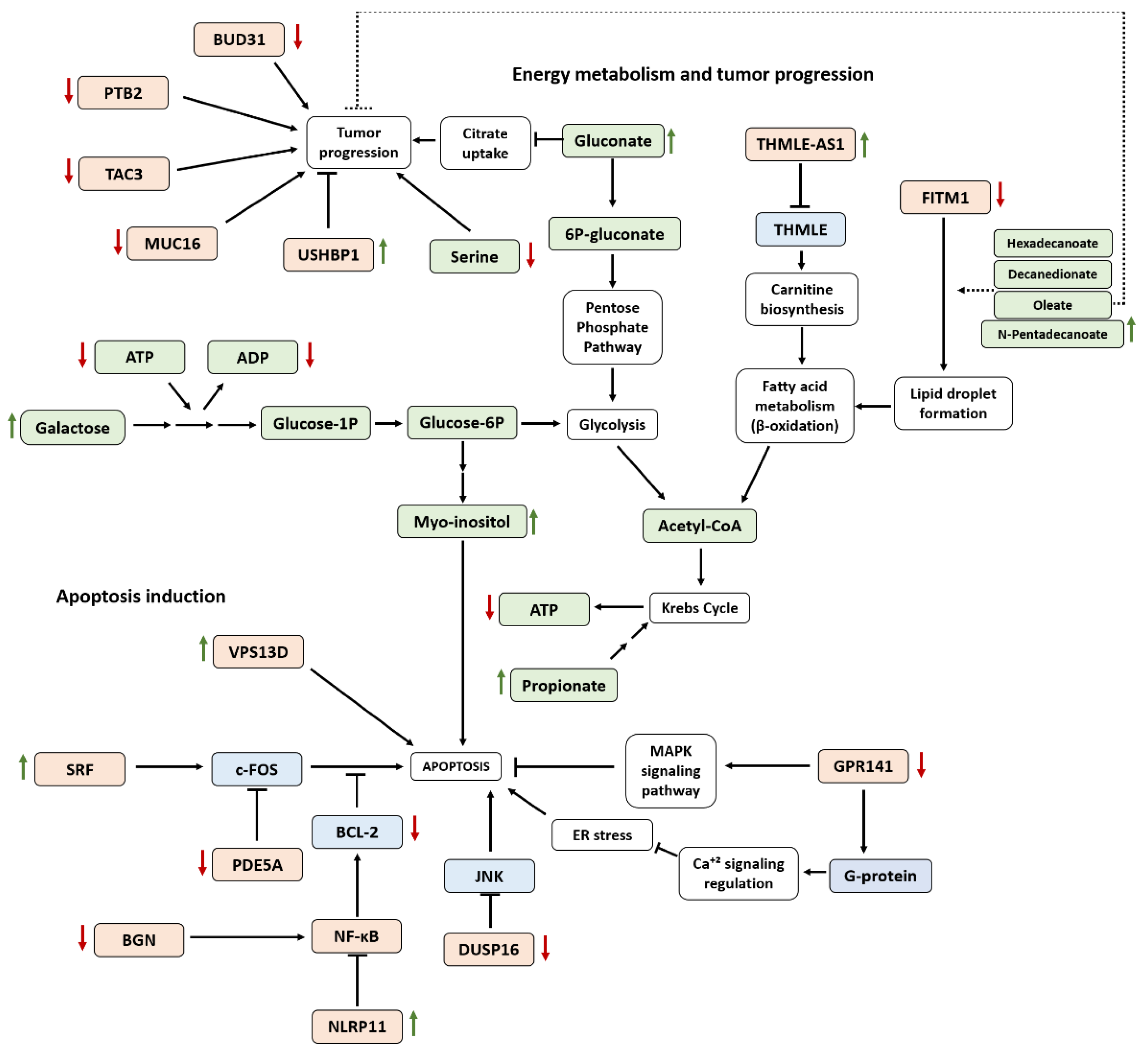 Pharmaceutics 13 01629 g005