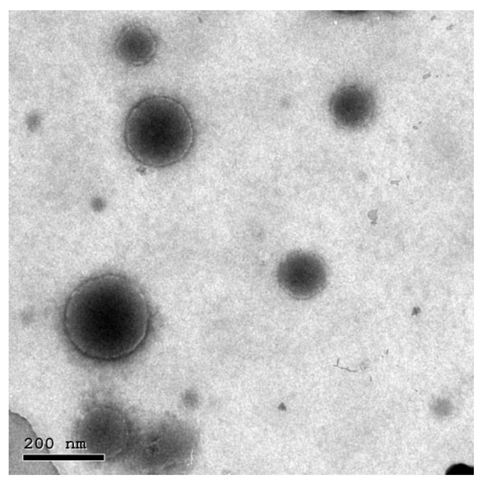 Pharmaceutics 13 01635 g003