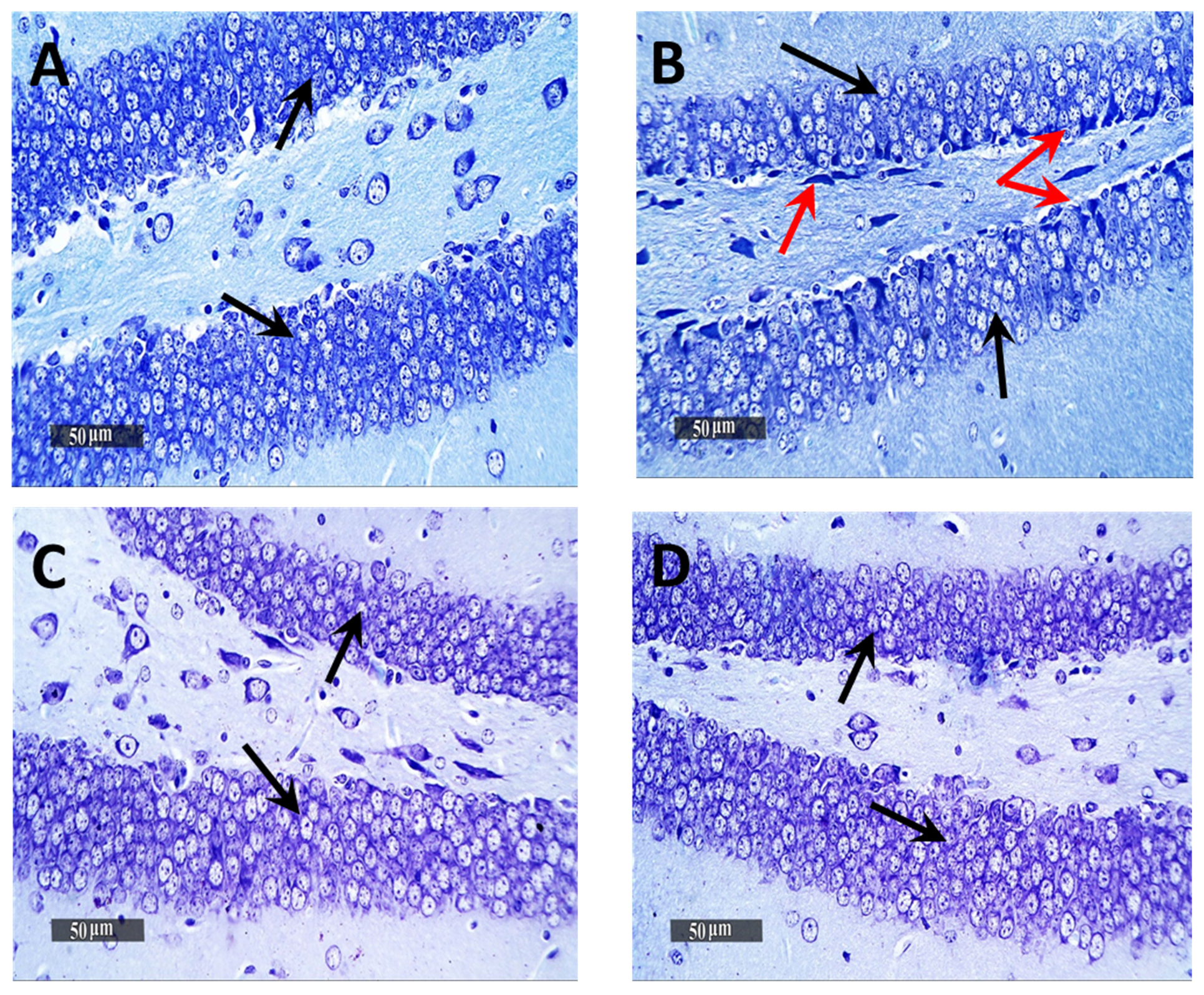 Pharmaceutics 13 01635 g008a