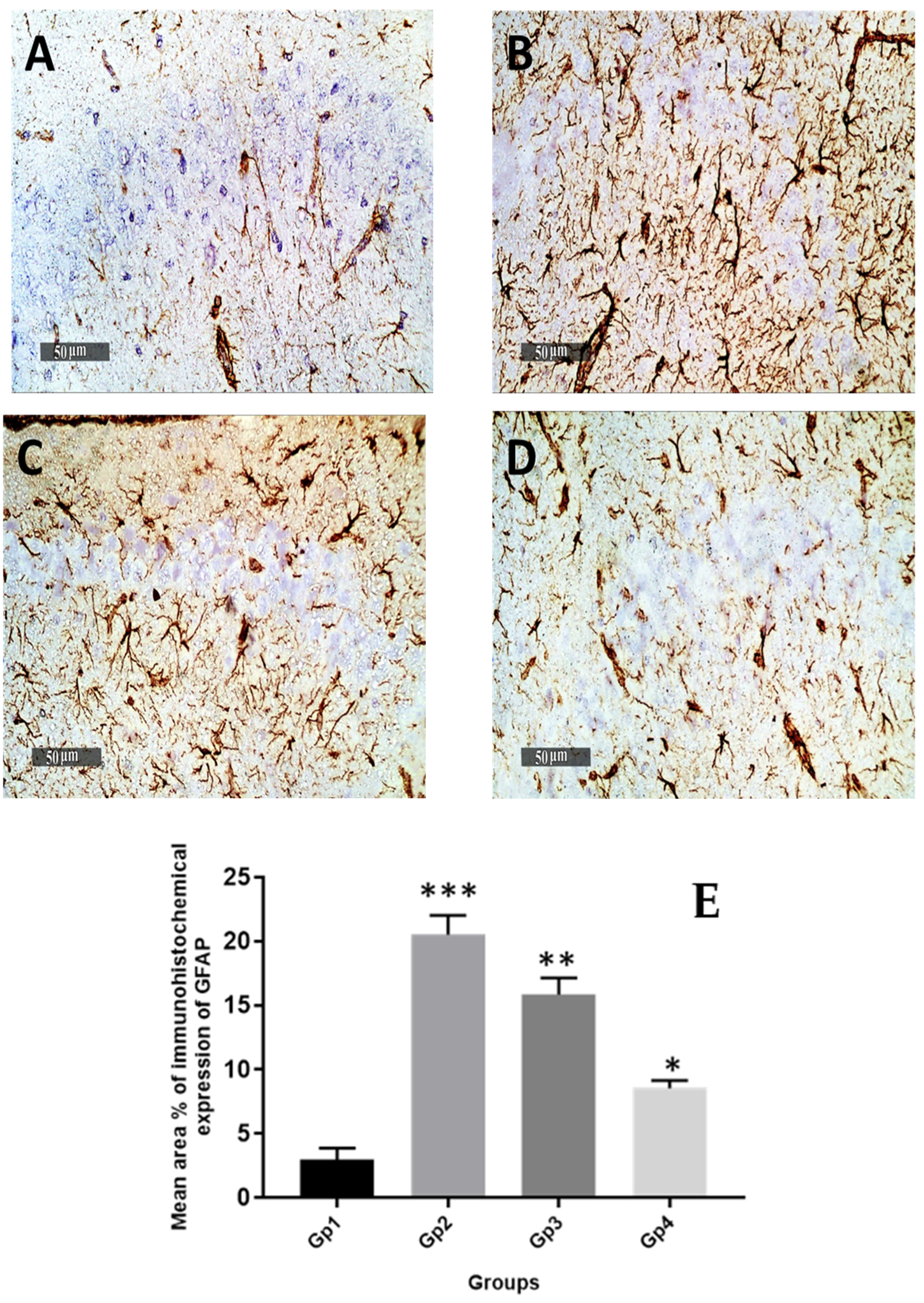 Pharmaceutics 13 01635 g009