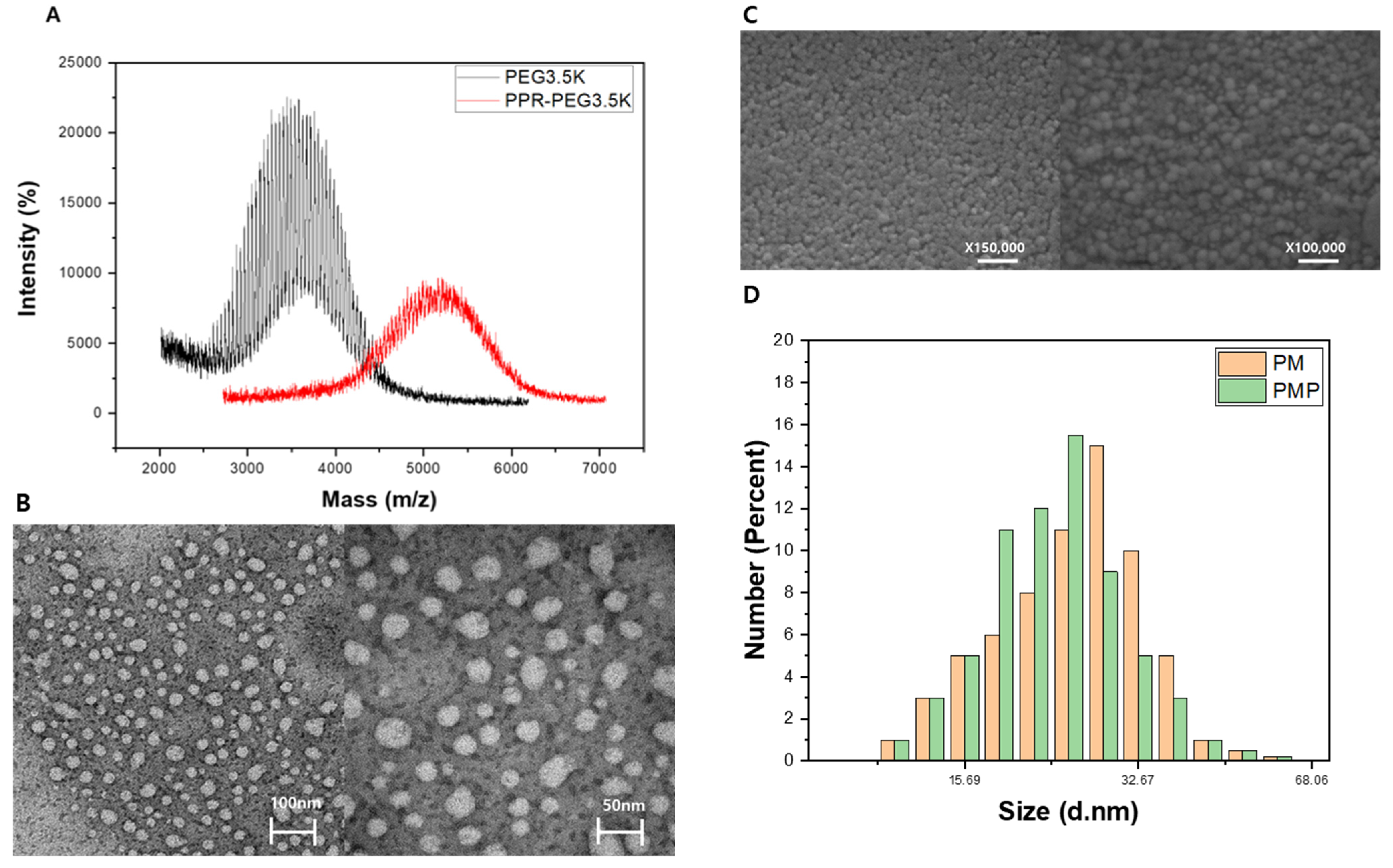 Pharmaceutics 13 01636 g002