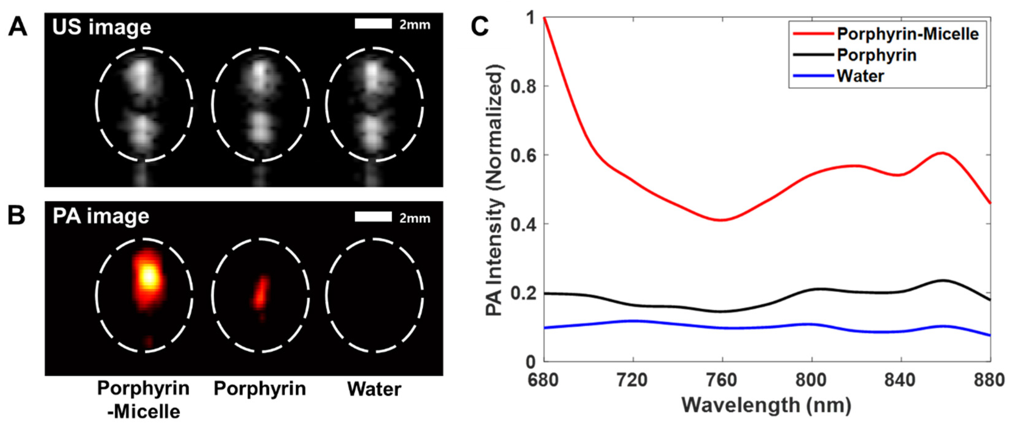 Pharmaceutics 13 01636 g004