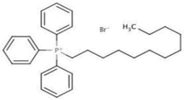 Pharmaceutics 13 01639 i004 Pharmaceutics 13 01639 i004