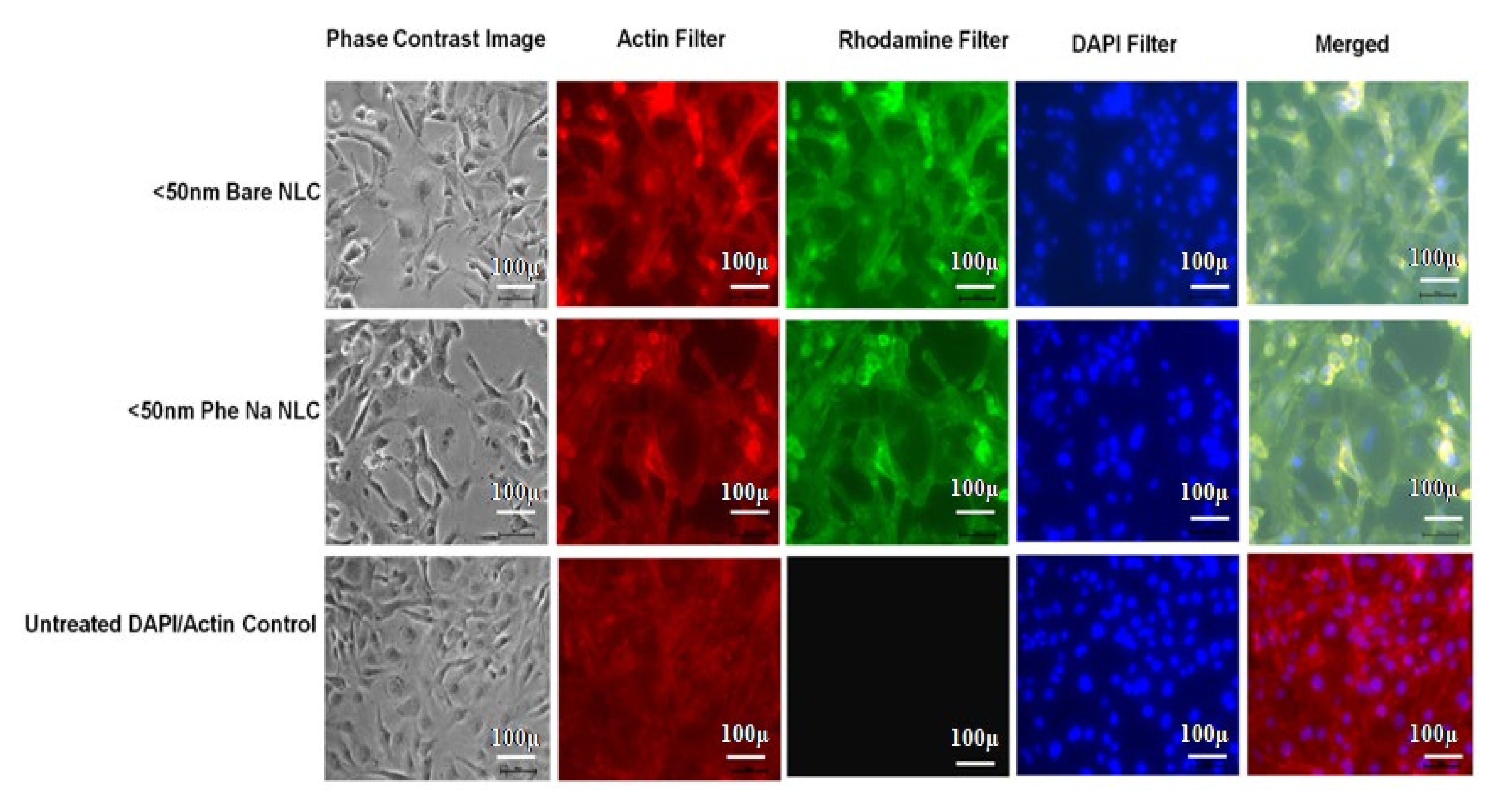 Pharmaceutics 13 01640 g006