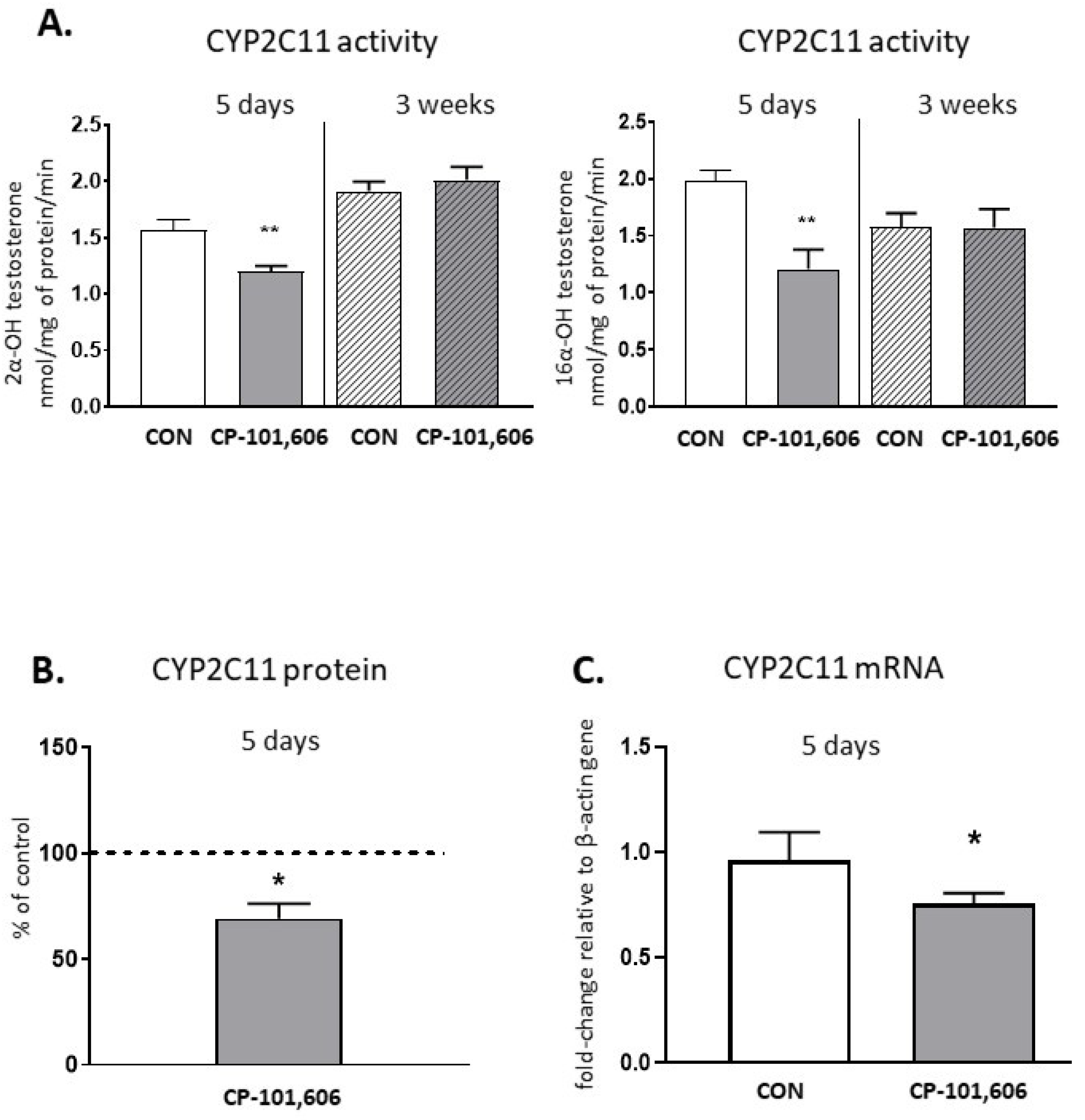 Pharmaceutics 13 01643 g005