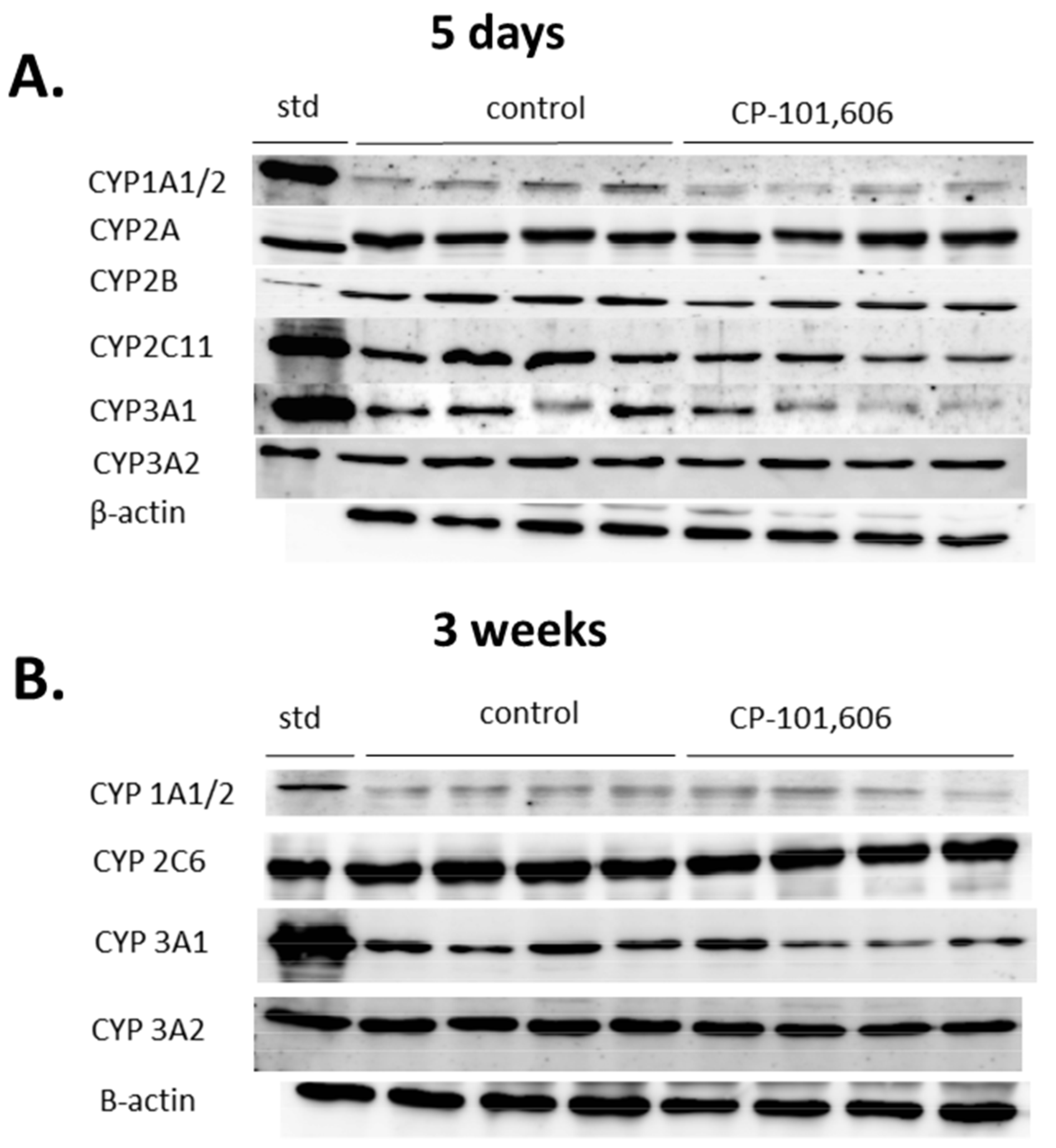 Pharmaceutics 13 01643 g007