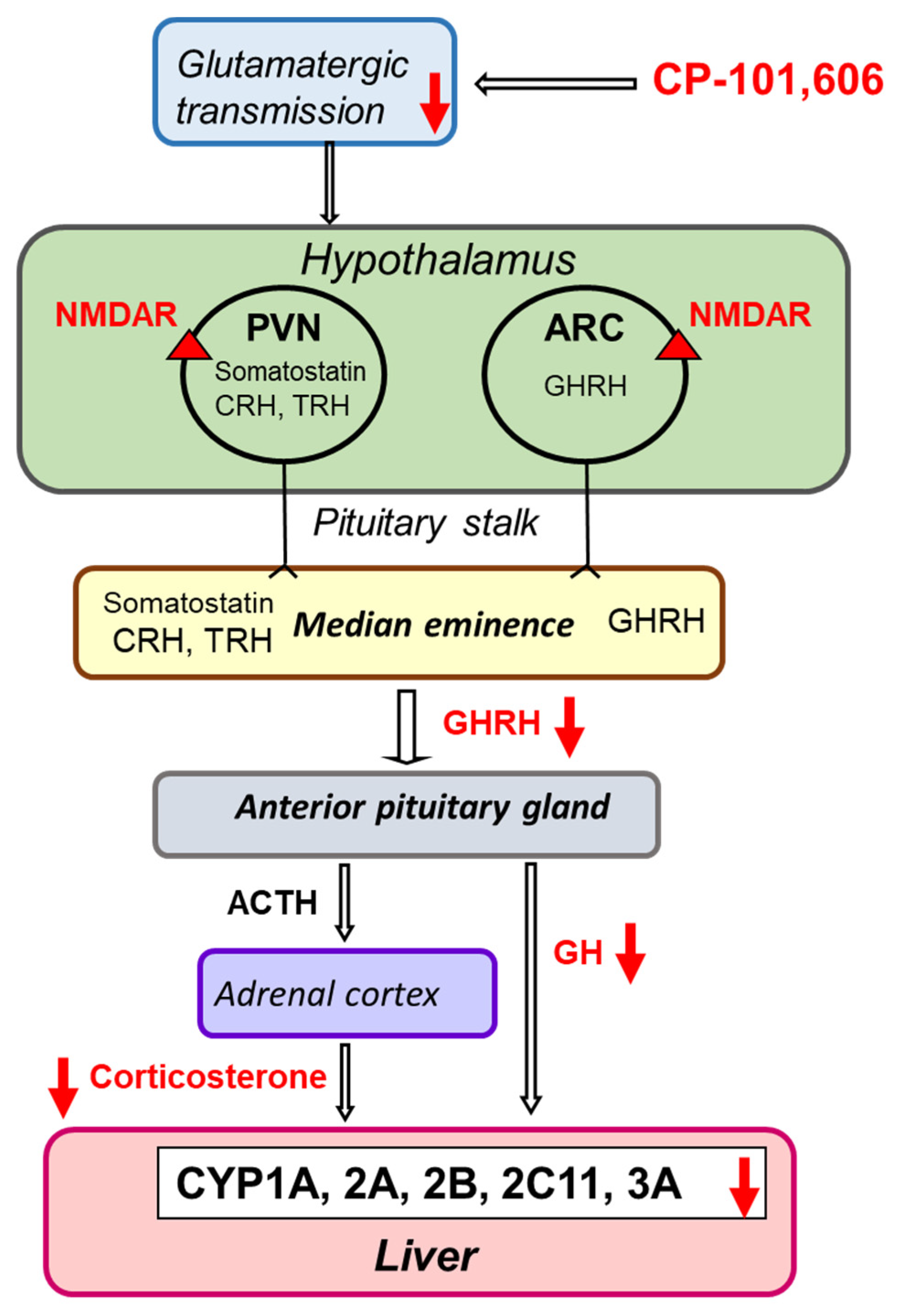Pharmaceutics 13 01643 g009