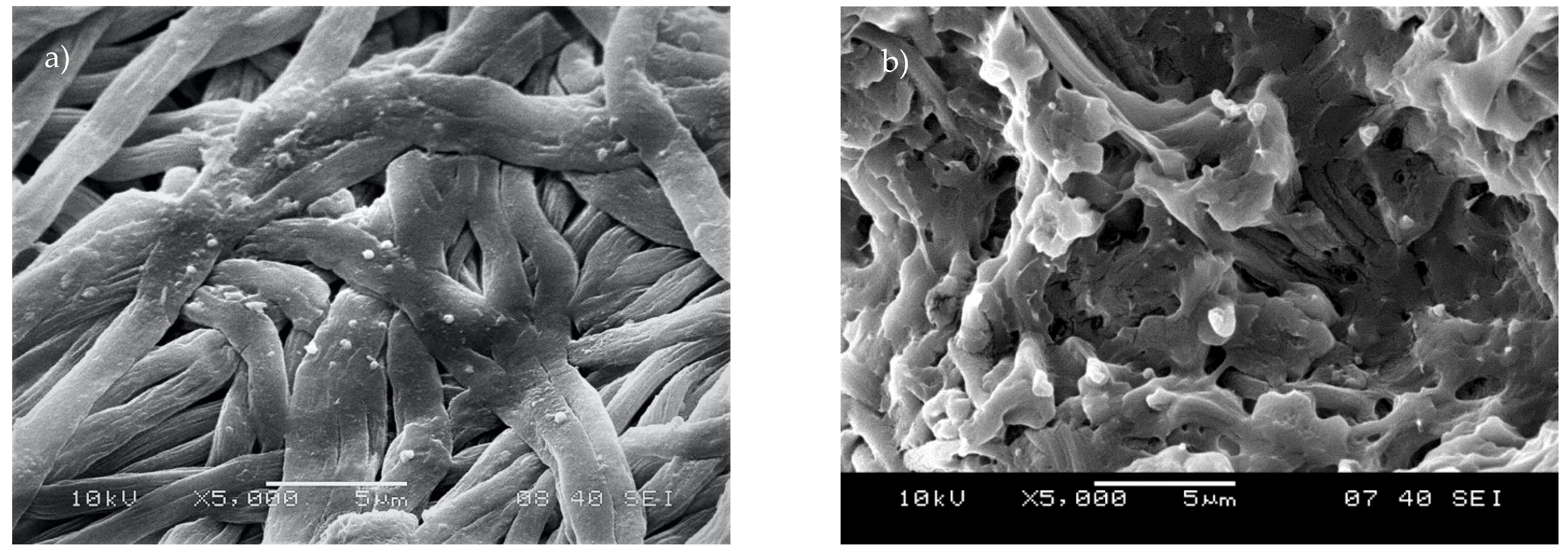 Pharmaceutics 13 01645 g005