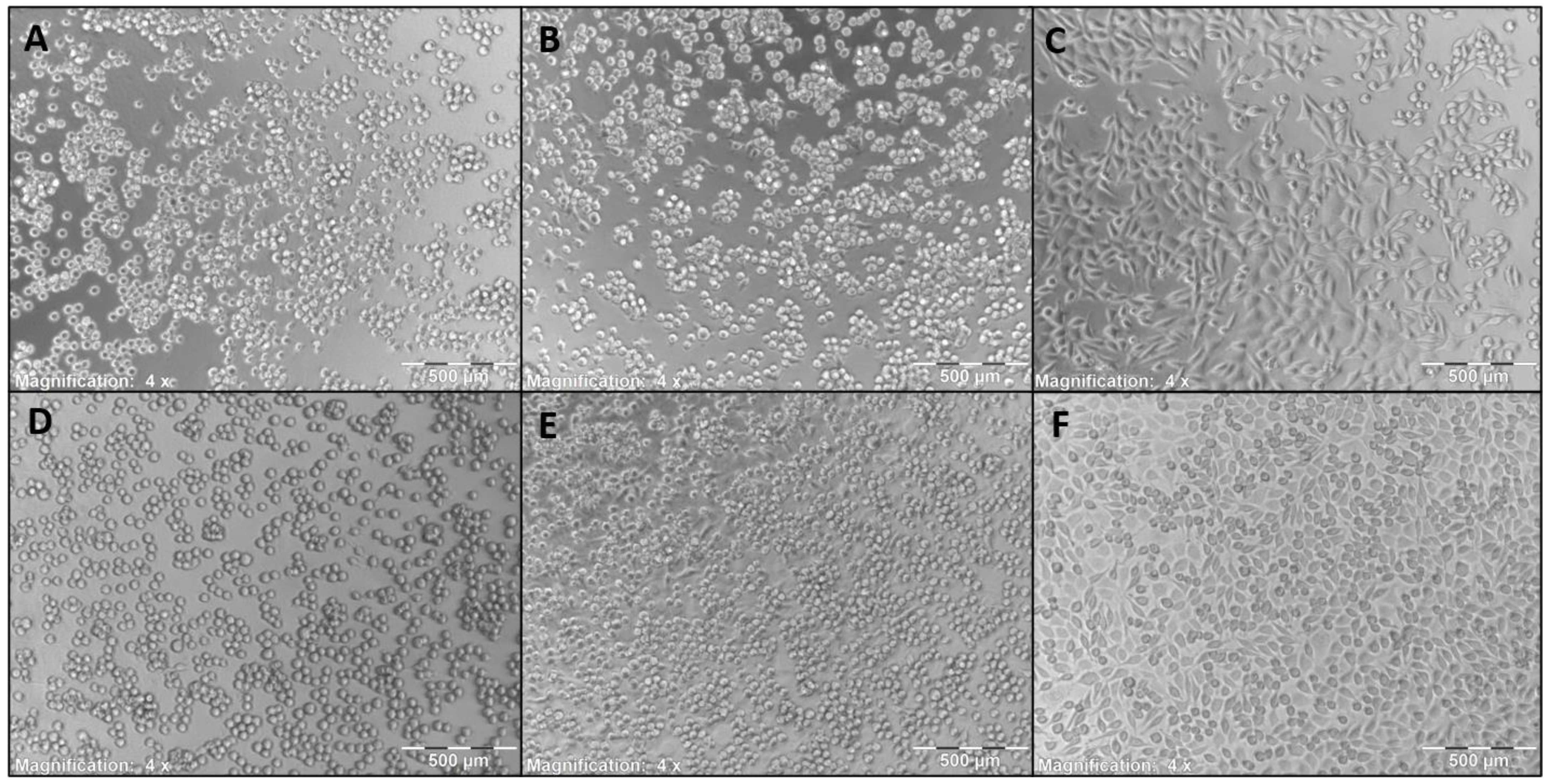 Pharmaceutics 13 01647 g008