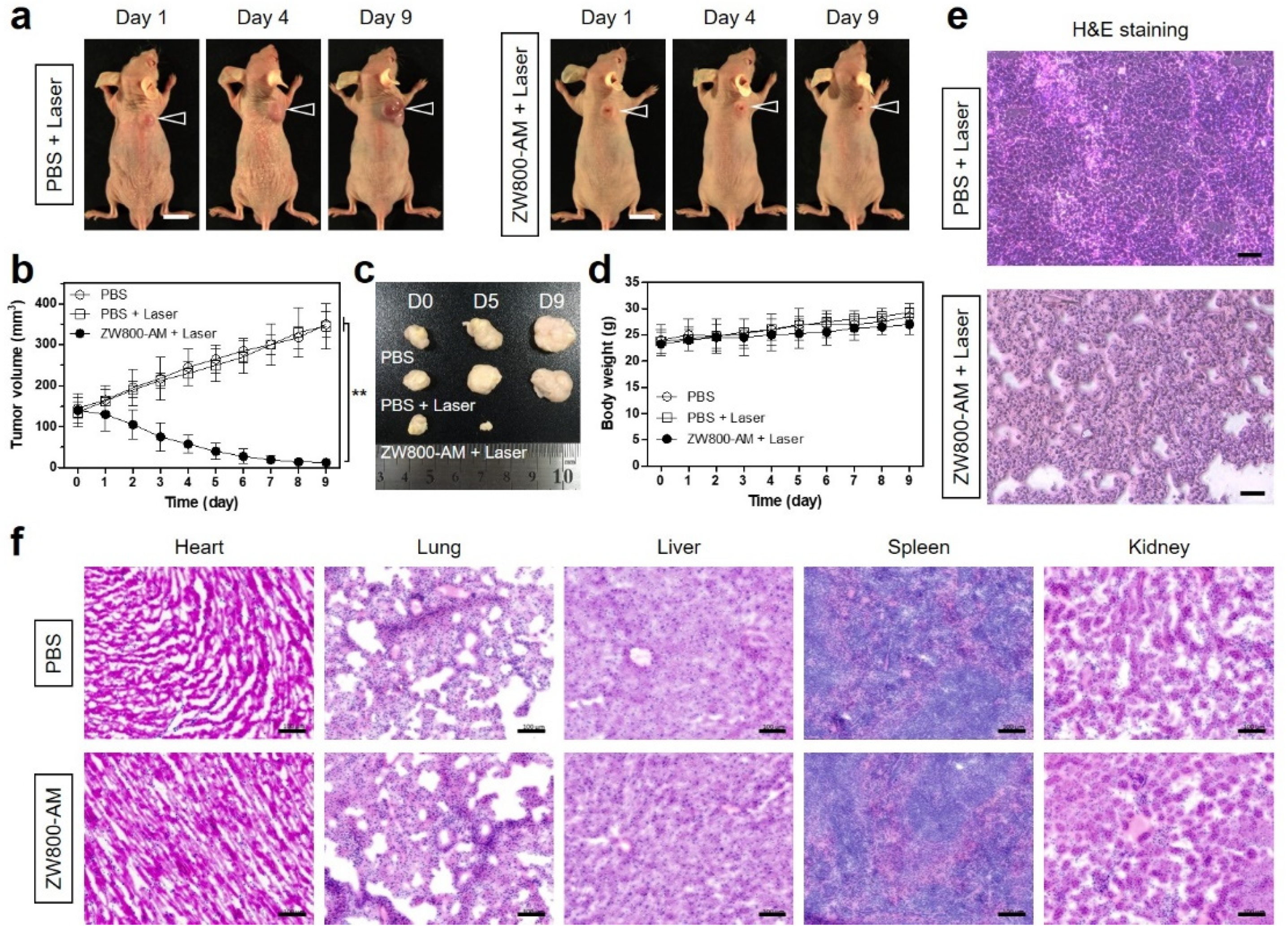 Pharmaceutics 13 01648 g006 Pharmaceutics 13 01648 g006