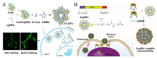 Pharmaceutics 13 01649 g009 550
