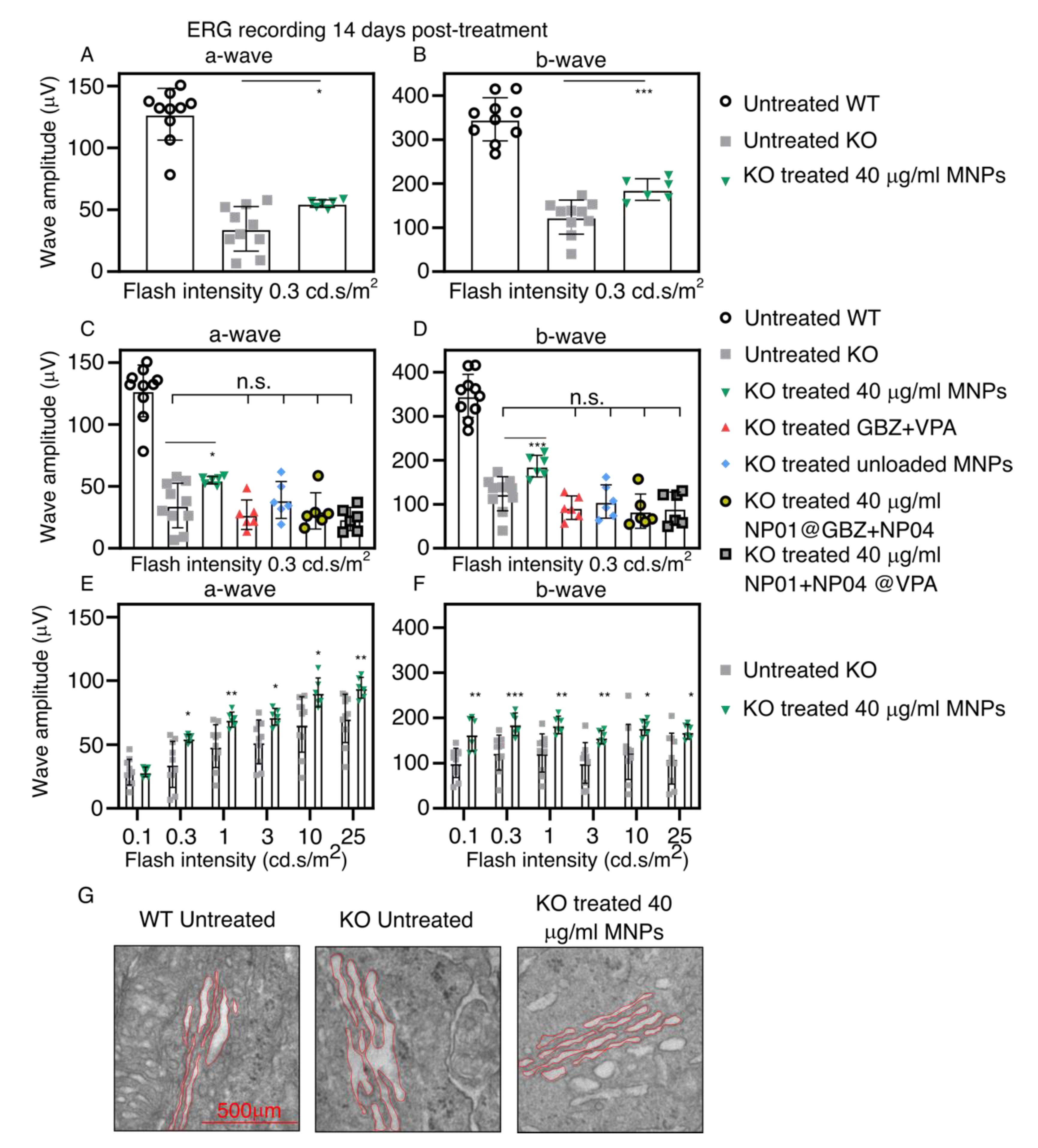 Pharmaceutics 13 01650 g005