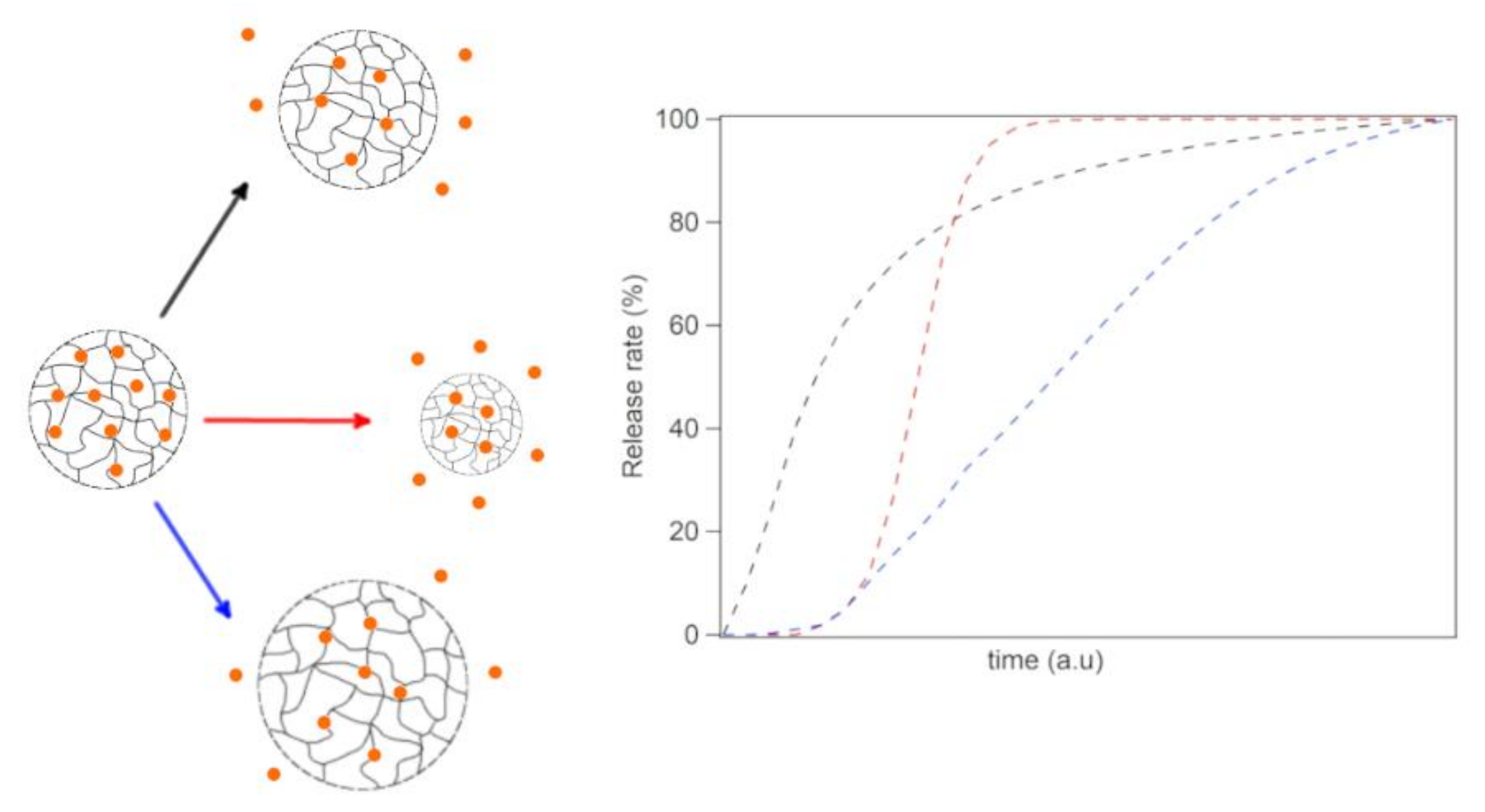Pharmaceutics 13 01654 g003