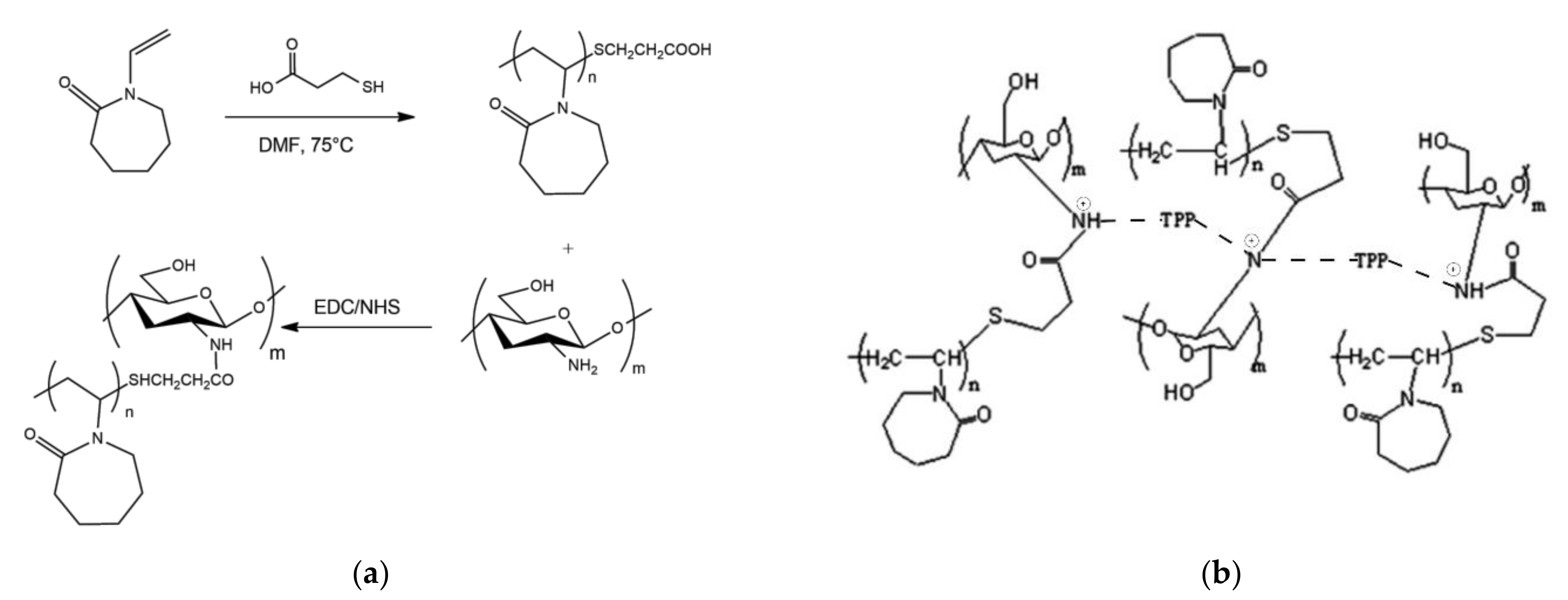 Pharmaceutics 13 01654 g004