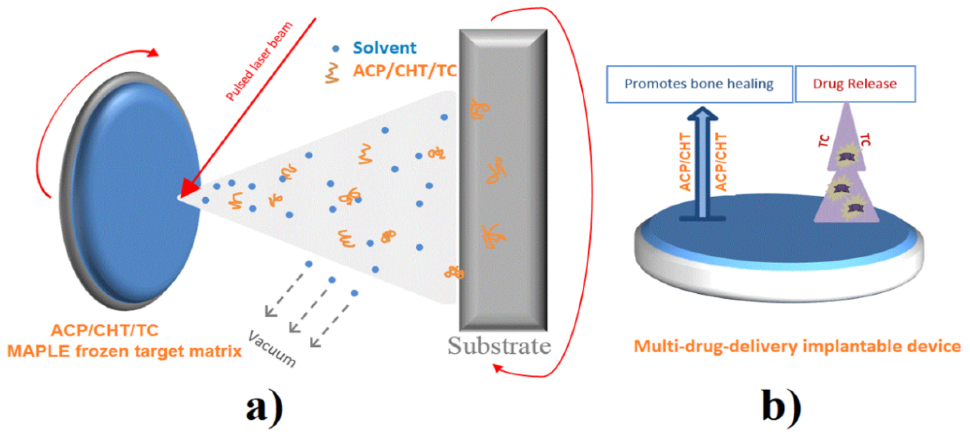 Pharmaceutics 13 01659 g001