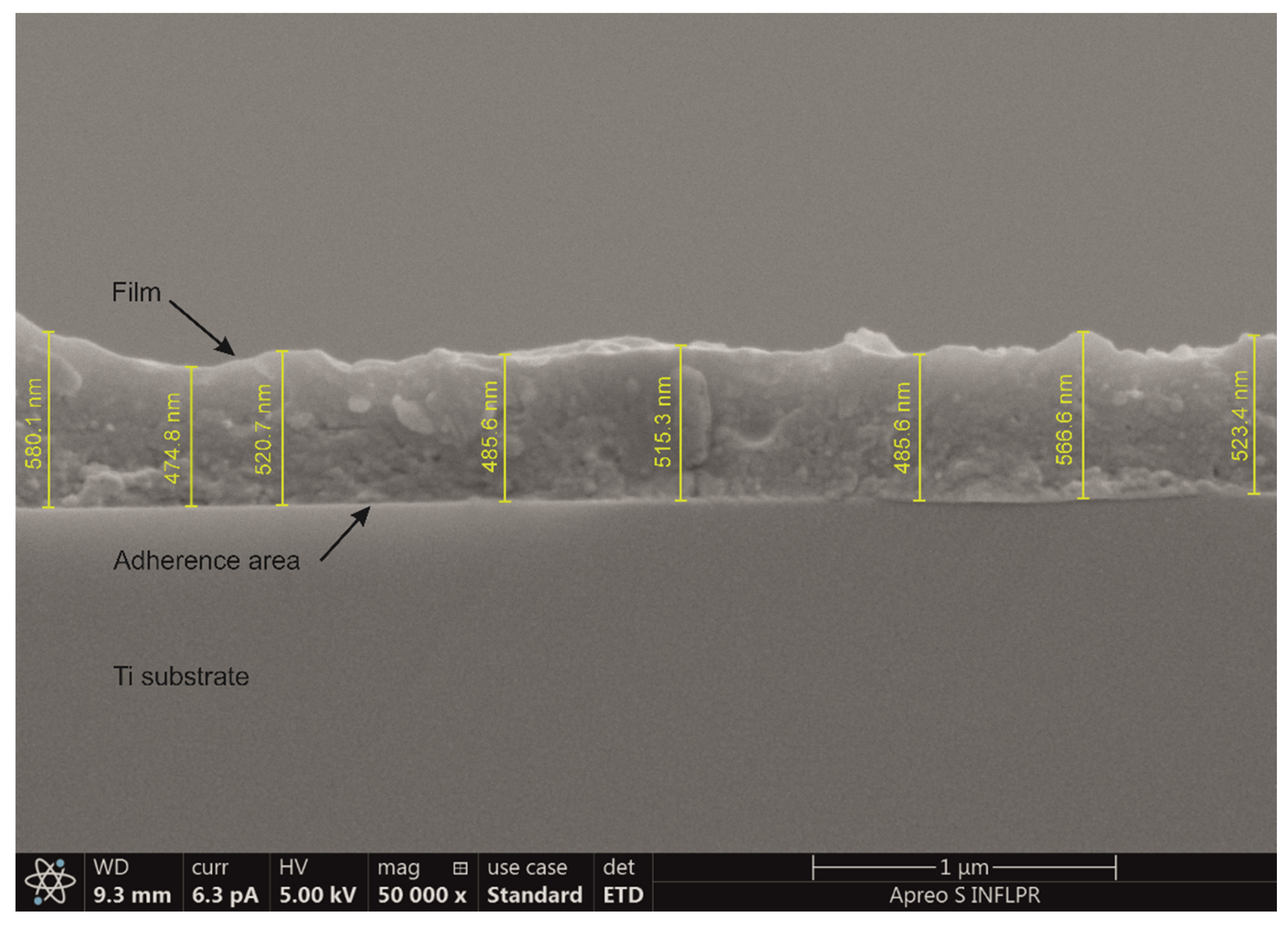 Pharmaceutics 13 01659 g002