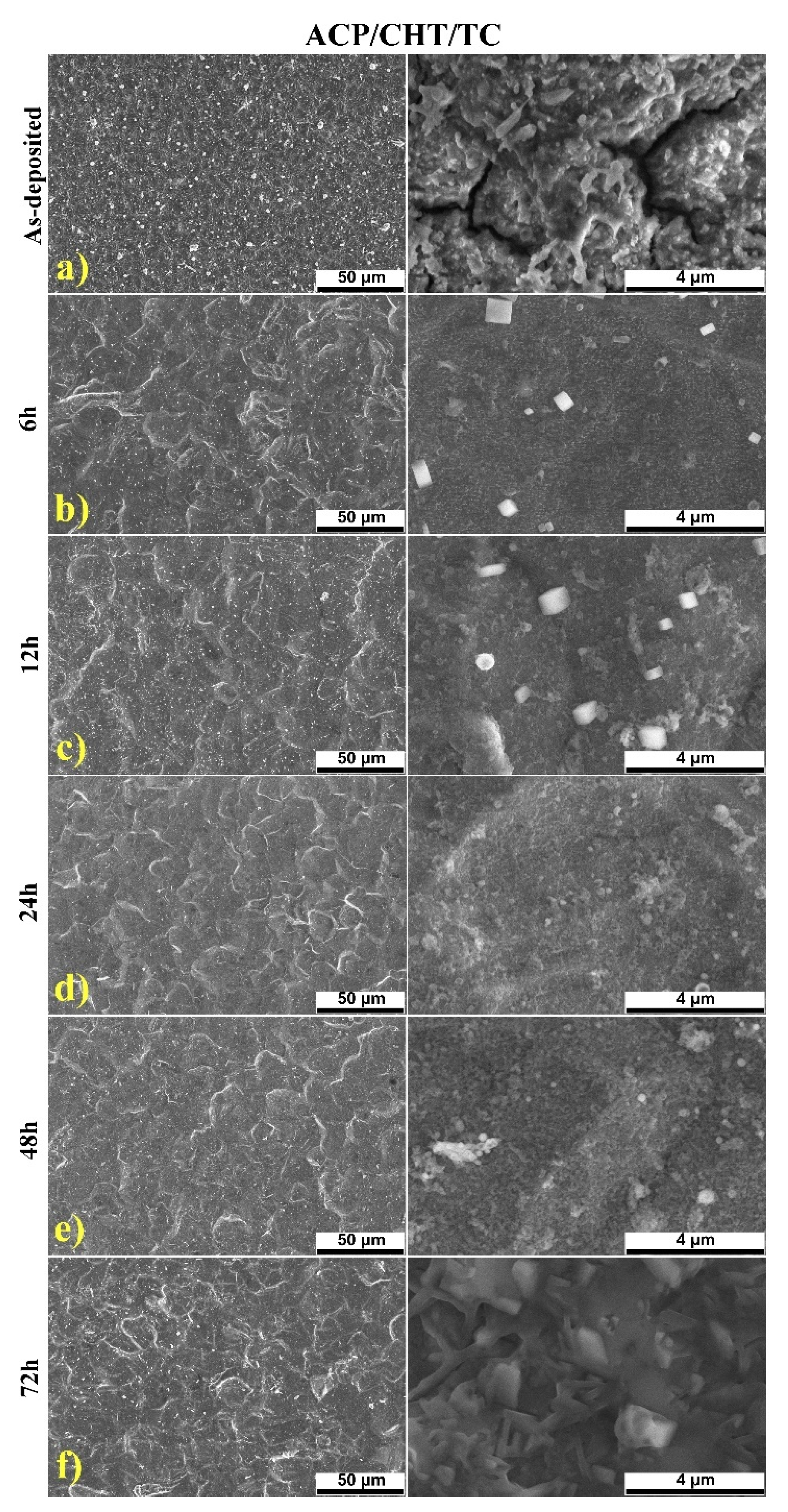 Pharmaceutics 13 01659 g003