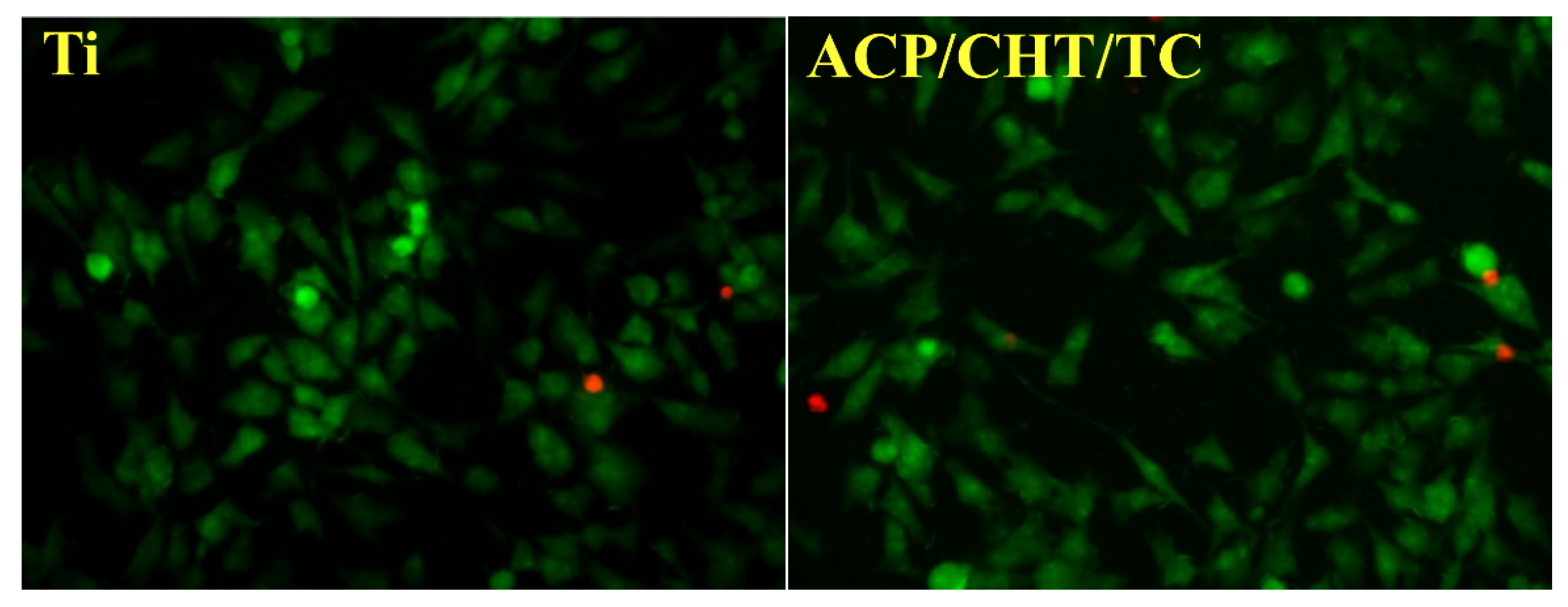 Pharmaceutics 13 01659 g012