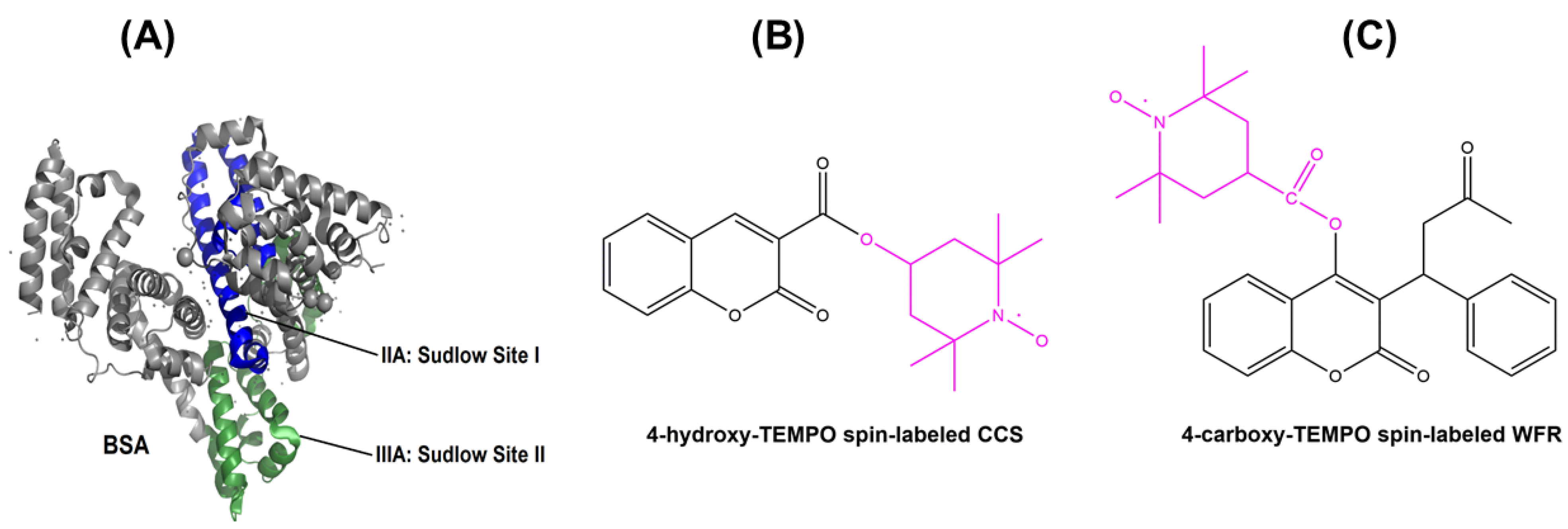 Pharmaceutics 13 01661 g001