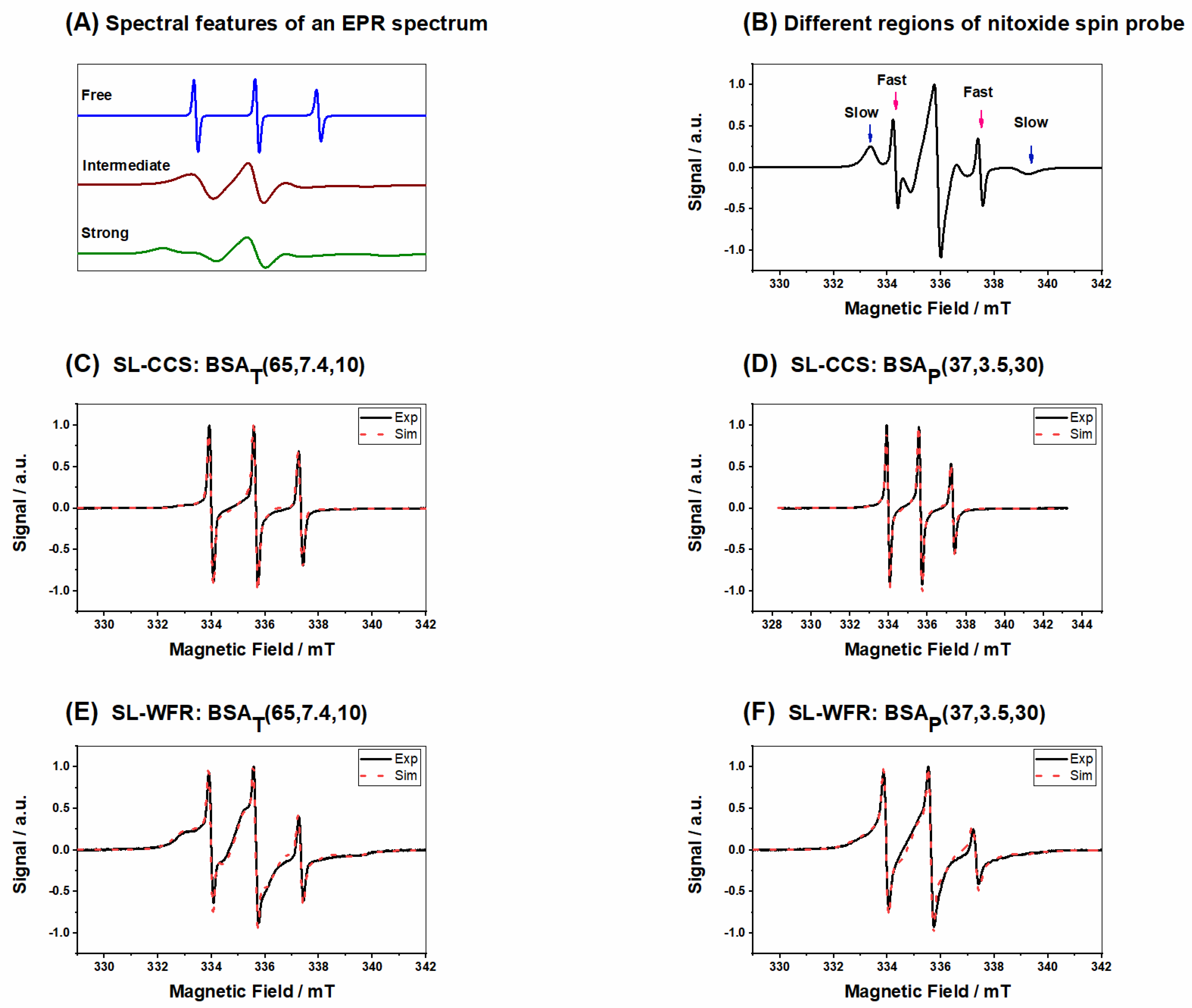 Pharmaceutics 13 01661 g003