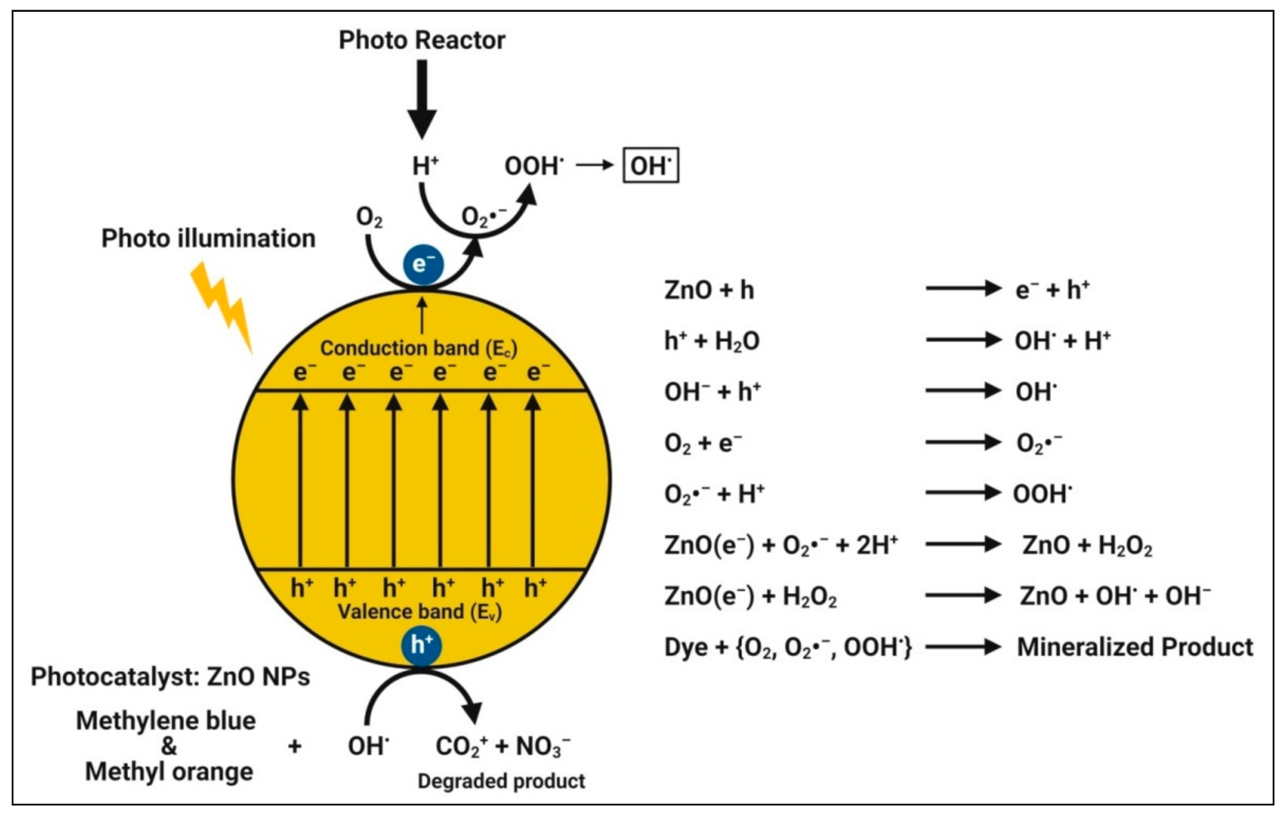 Pharmaceutics 13 01662 g007 Pharmaceutics 13 01662 g007