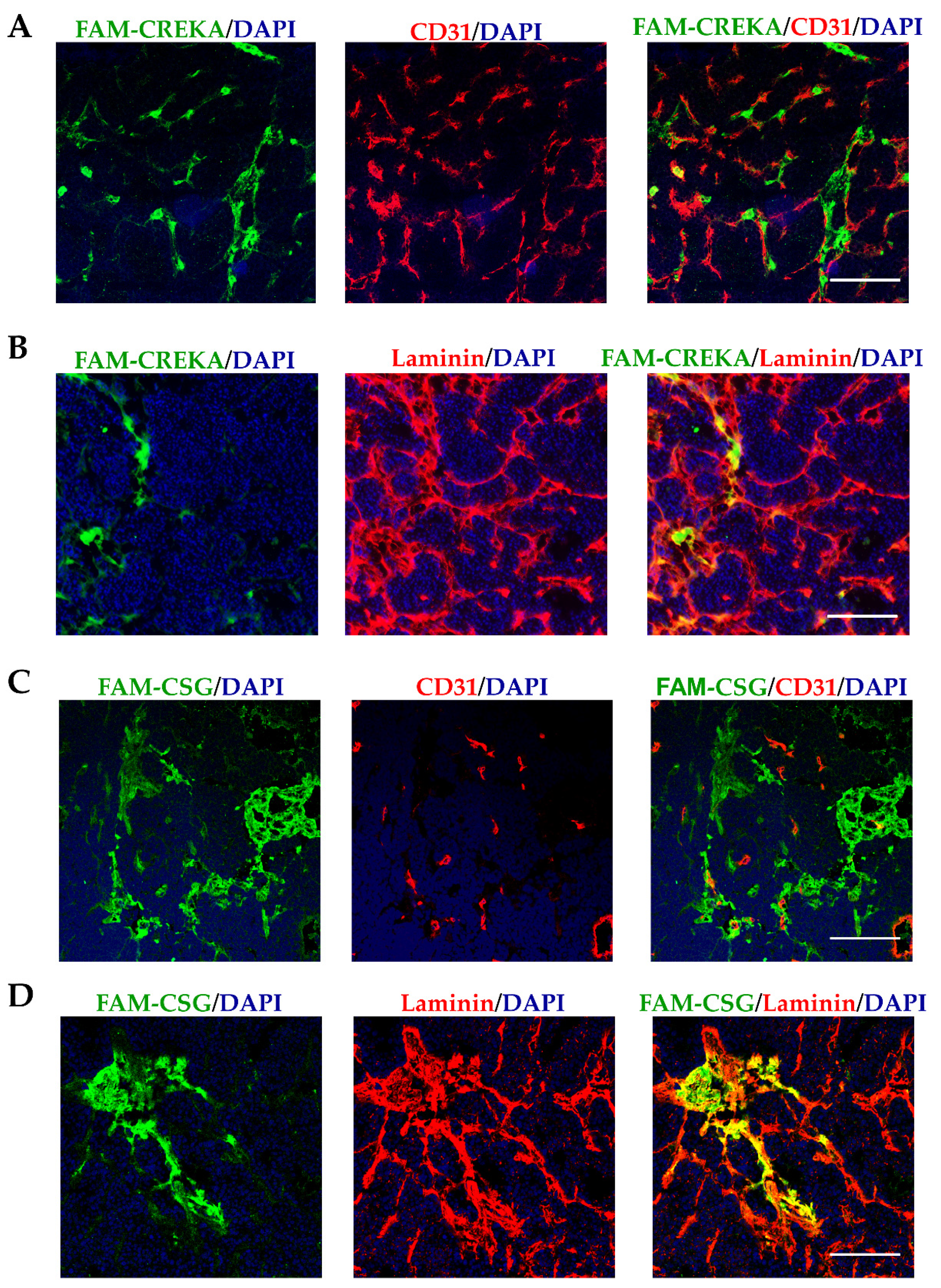 Pharmaceutics 13 01663 g001