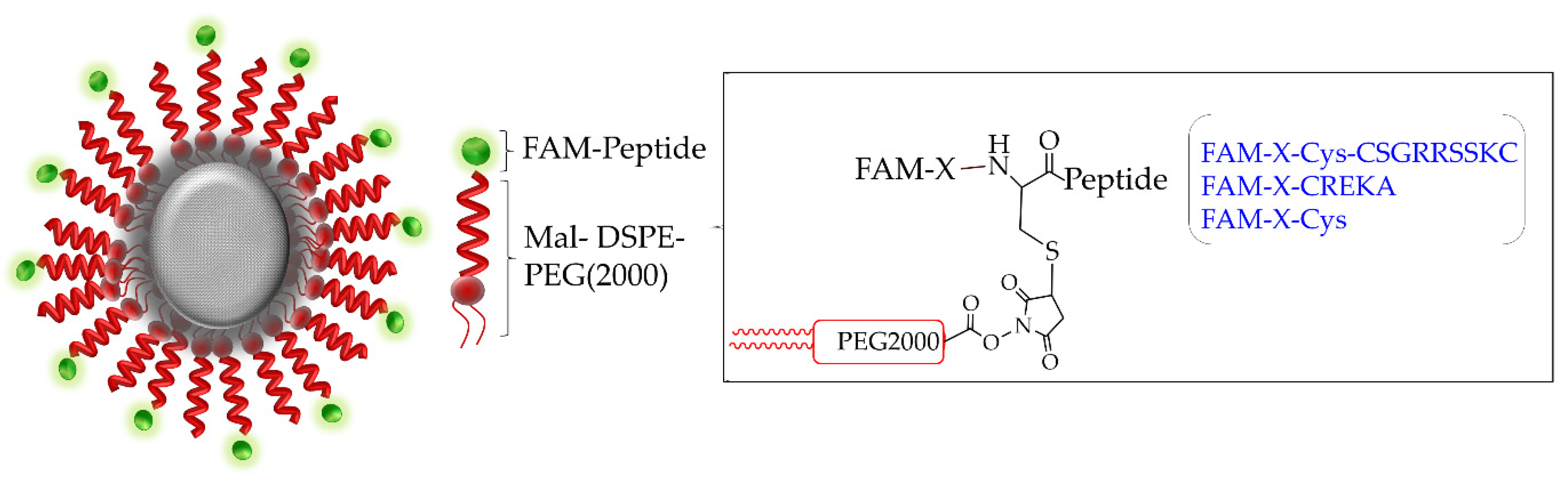 Pharmaceutics 13 01663 g003