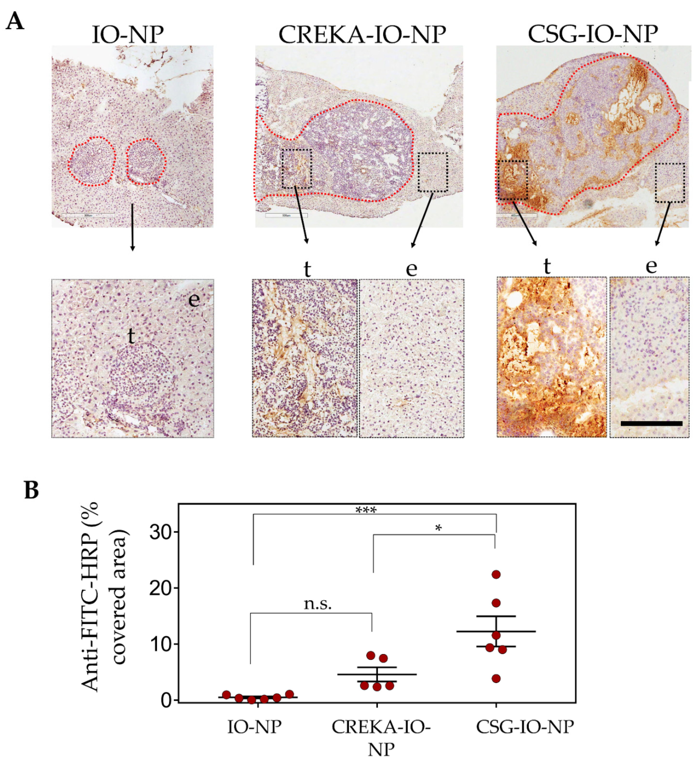 Pharmaceutics 13 01663 g004
